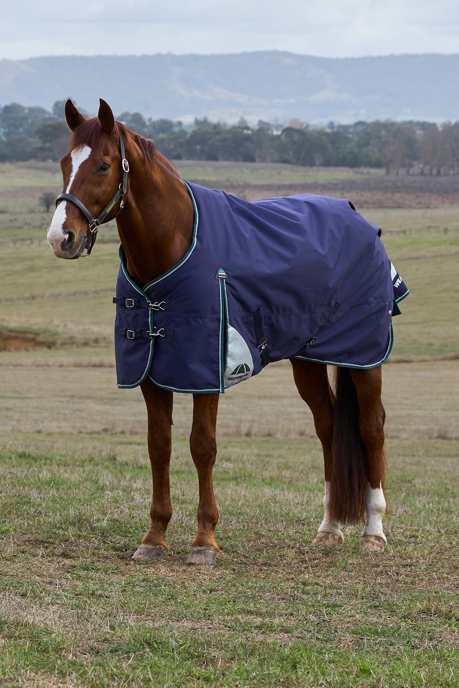 Weatherbeeta ComFiTecPlus Dynamic Turnout Detach-A-Neck 100G Hästtäcken