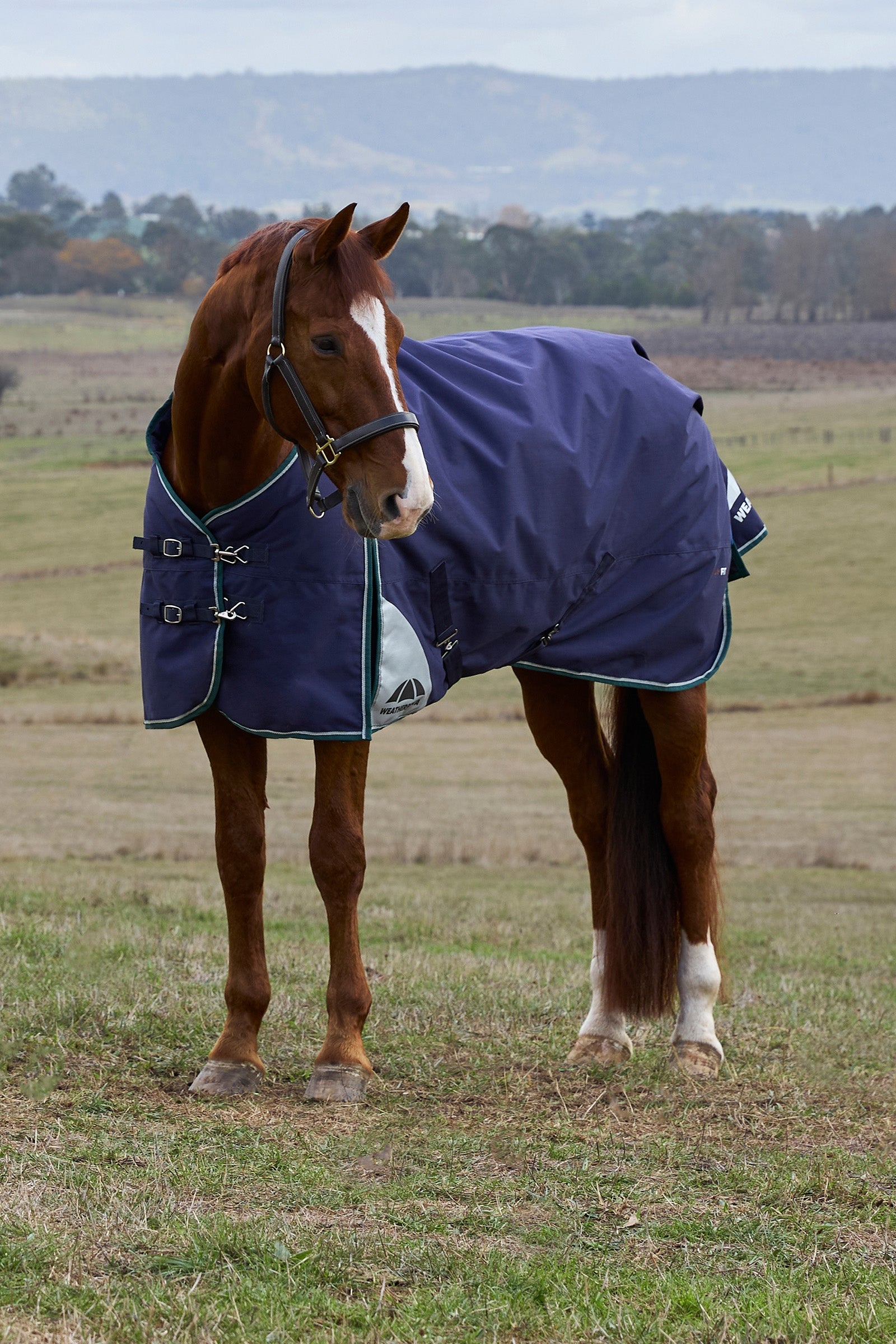 Weatherbeeta ComFiTecPlus Dynamic Turnout Detach-A-Neck 100G Horse Rugs