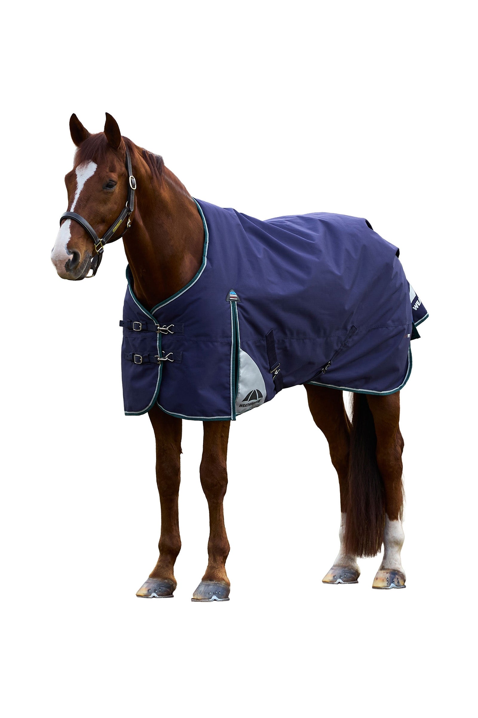 Weatherbeeta ComFiTecPlus Dynamic Turnout Detach-a-Neck, 100 g Horse Rugs