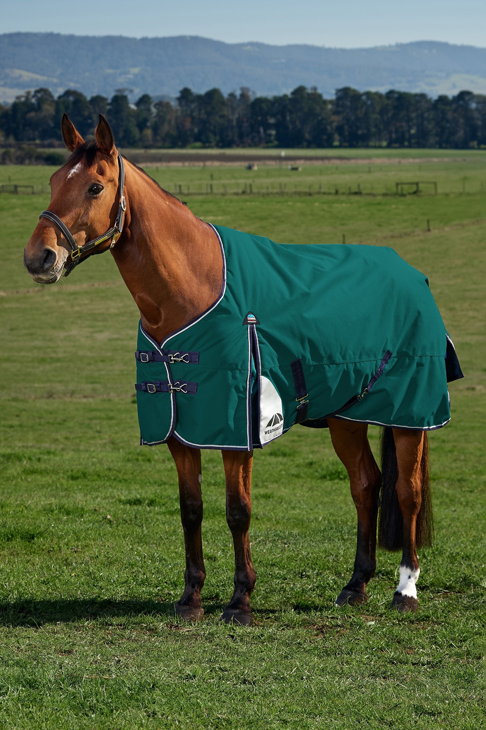 Weatherbeeta ComFiTecPlus Dynamic Turnout Detach-A-Neck 100G Hästtäcken