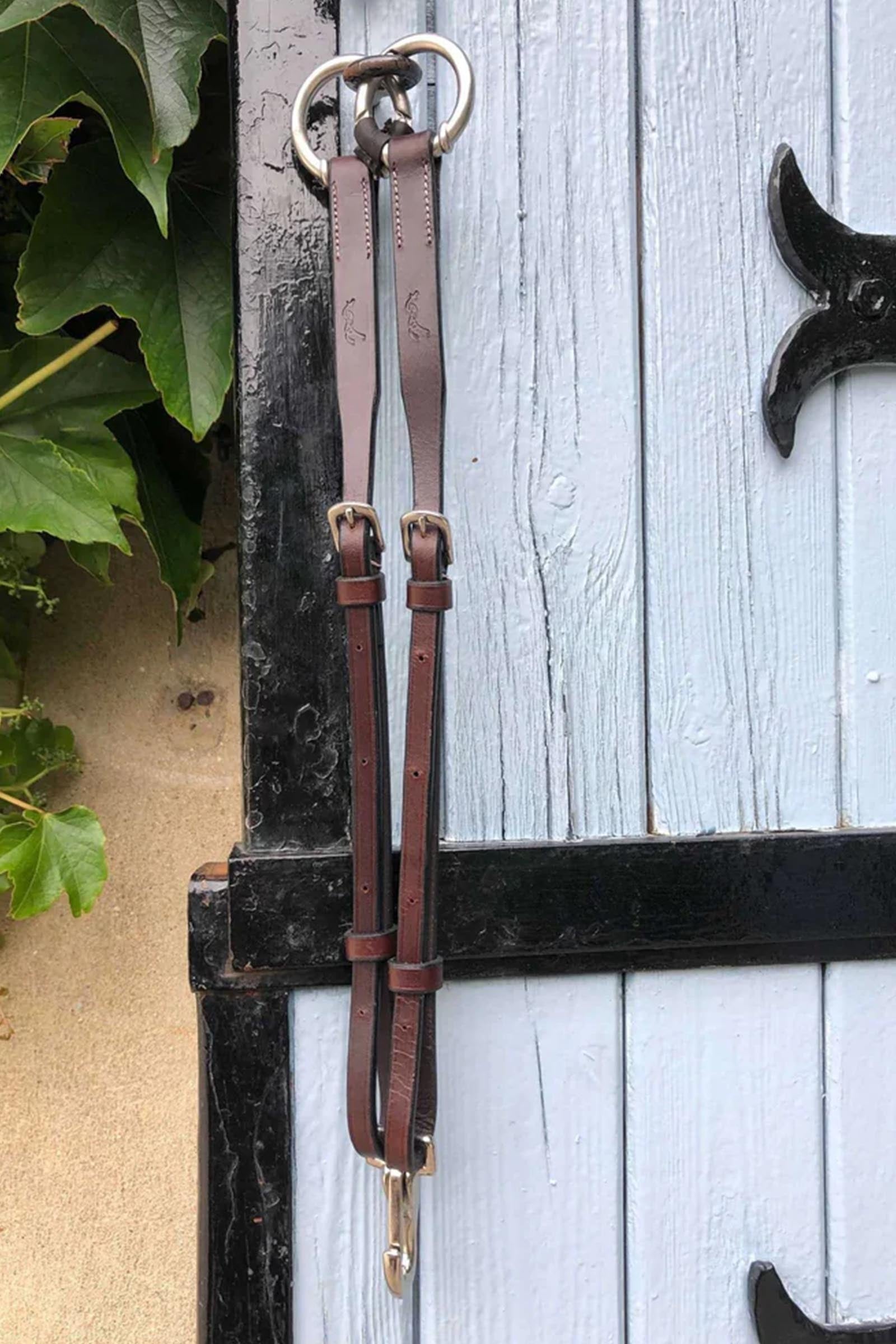 PENELOPE Martingale Fork Bridles & Reins