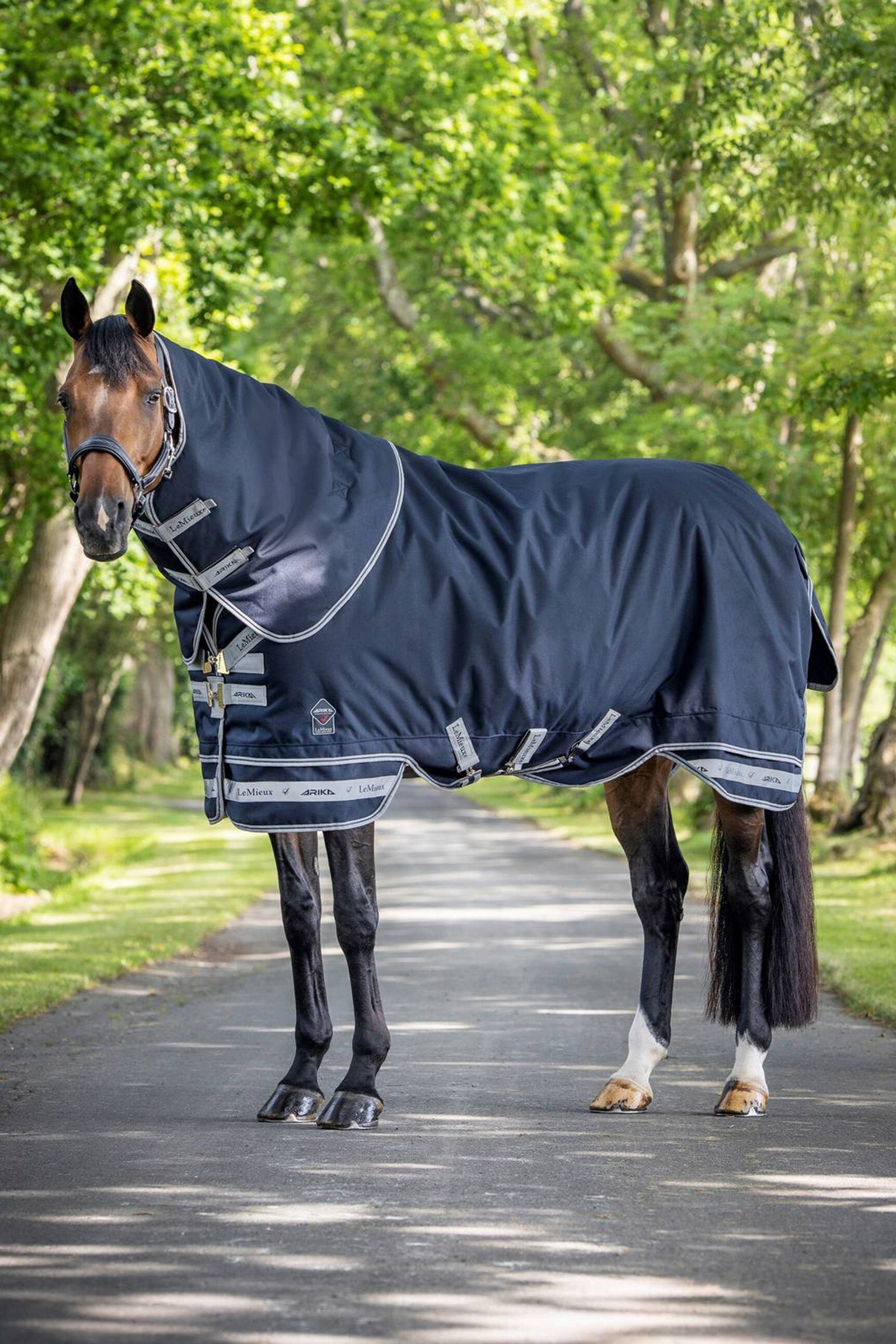 LeMieux Arika Storm-Tek Lightweight Turnout Rug, 100g Horse Rugs