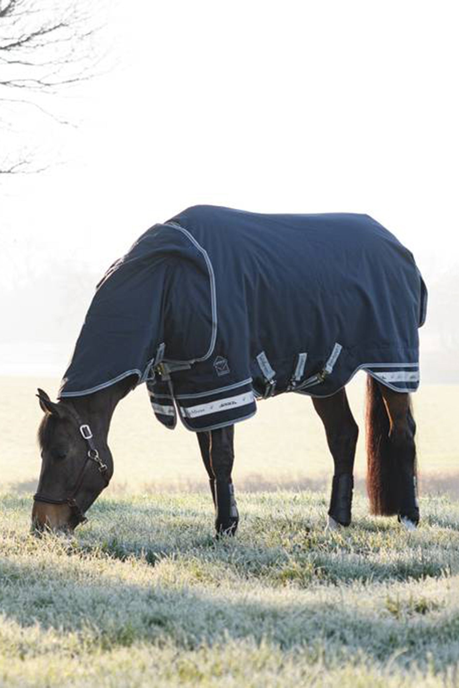 LeMieux Arika Storm-Tek Lightweight Turnout Rug, 100g Horse Rugs