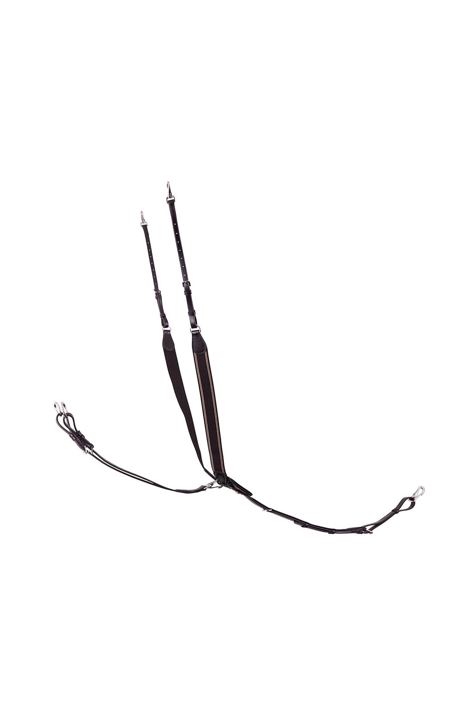 BR Taunton elastiskt brösta med avtagbar martingal Träns & Tyglar