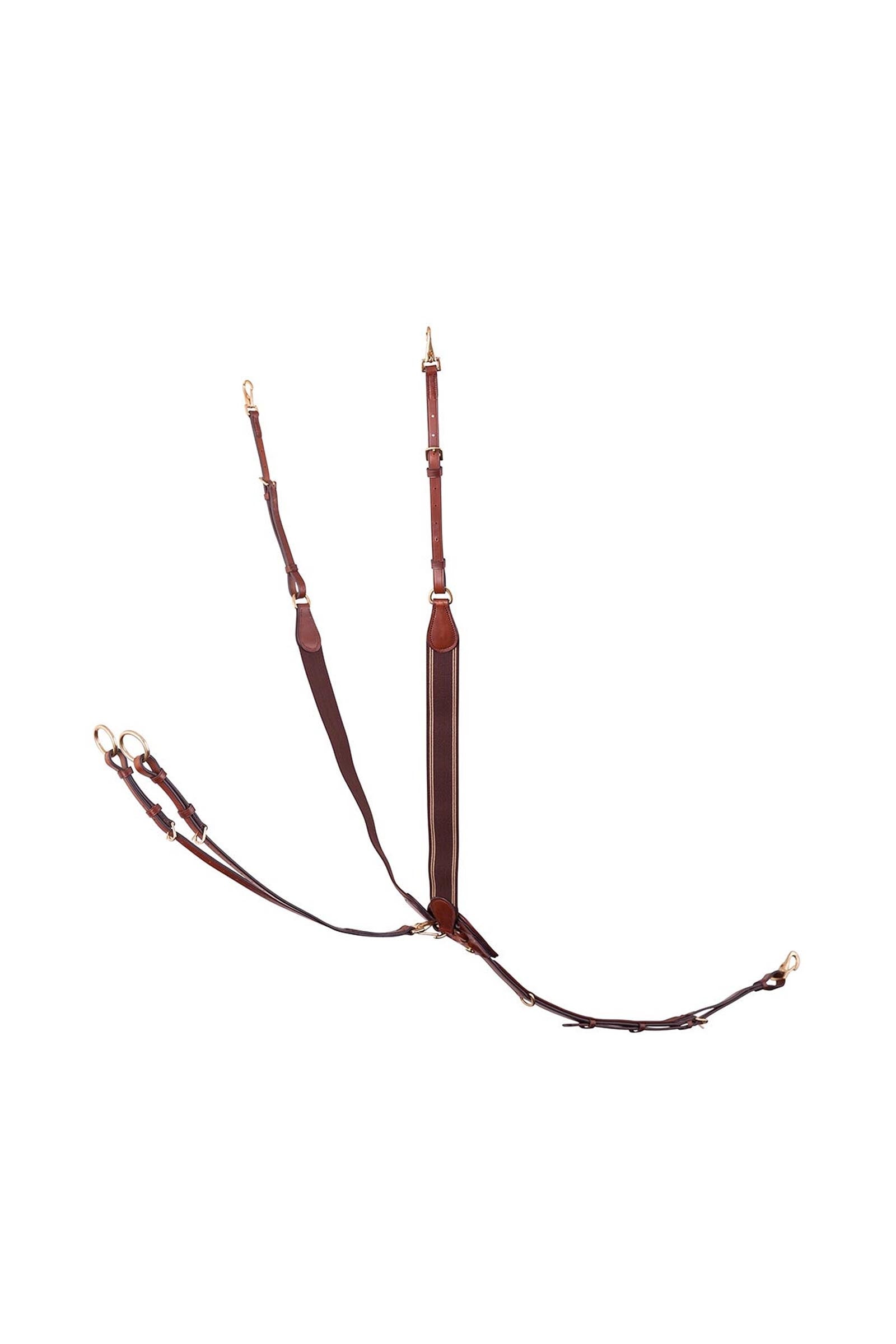 BR Taunton elastiskt brösta med avtagbar martingal Träns & Tyglar