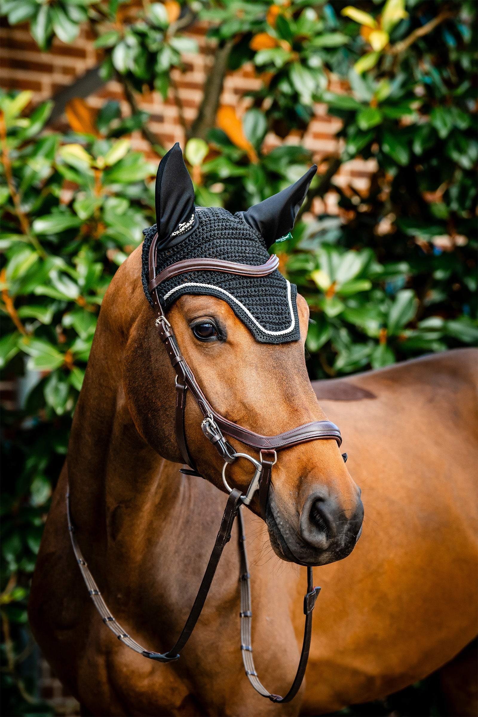 Horseware Signature Ear Net Saddle Pads