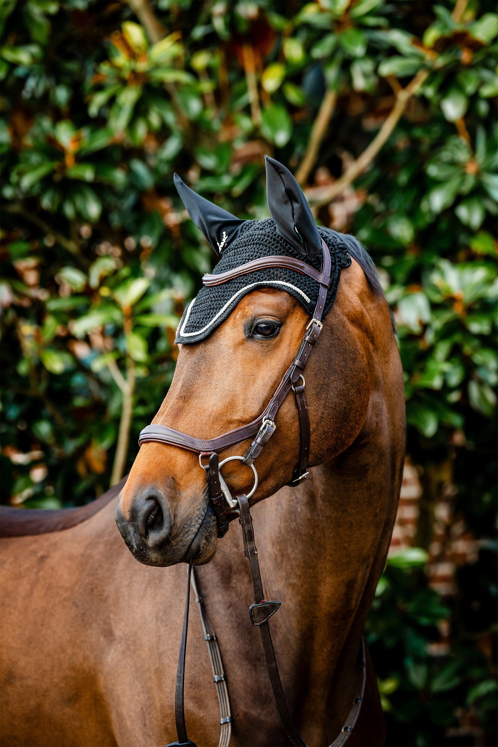 Horseware Signature Ear Net Saddle Pads
