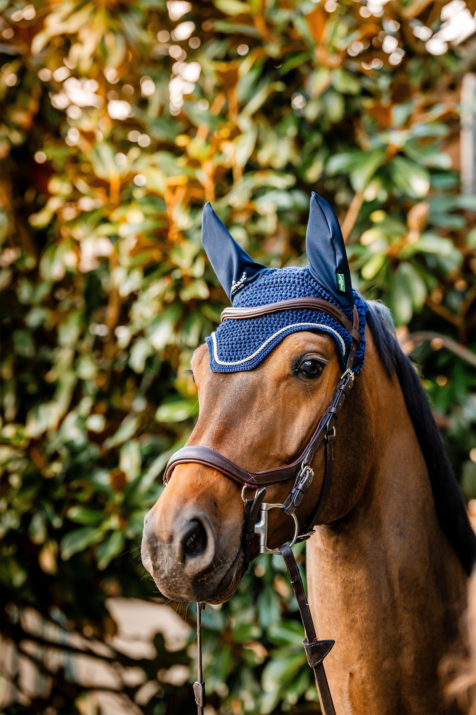 Horseware Signature flughuva Schabrak