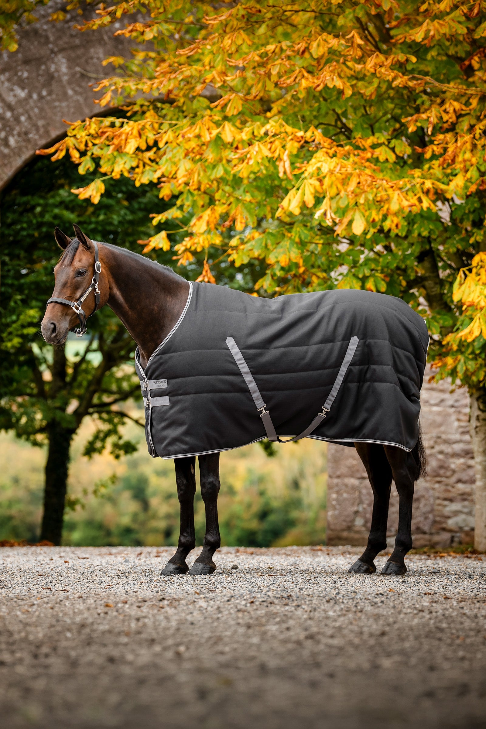 Horseware Rambo Stable 100 g Horse Rugs