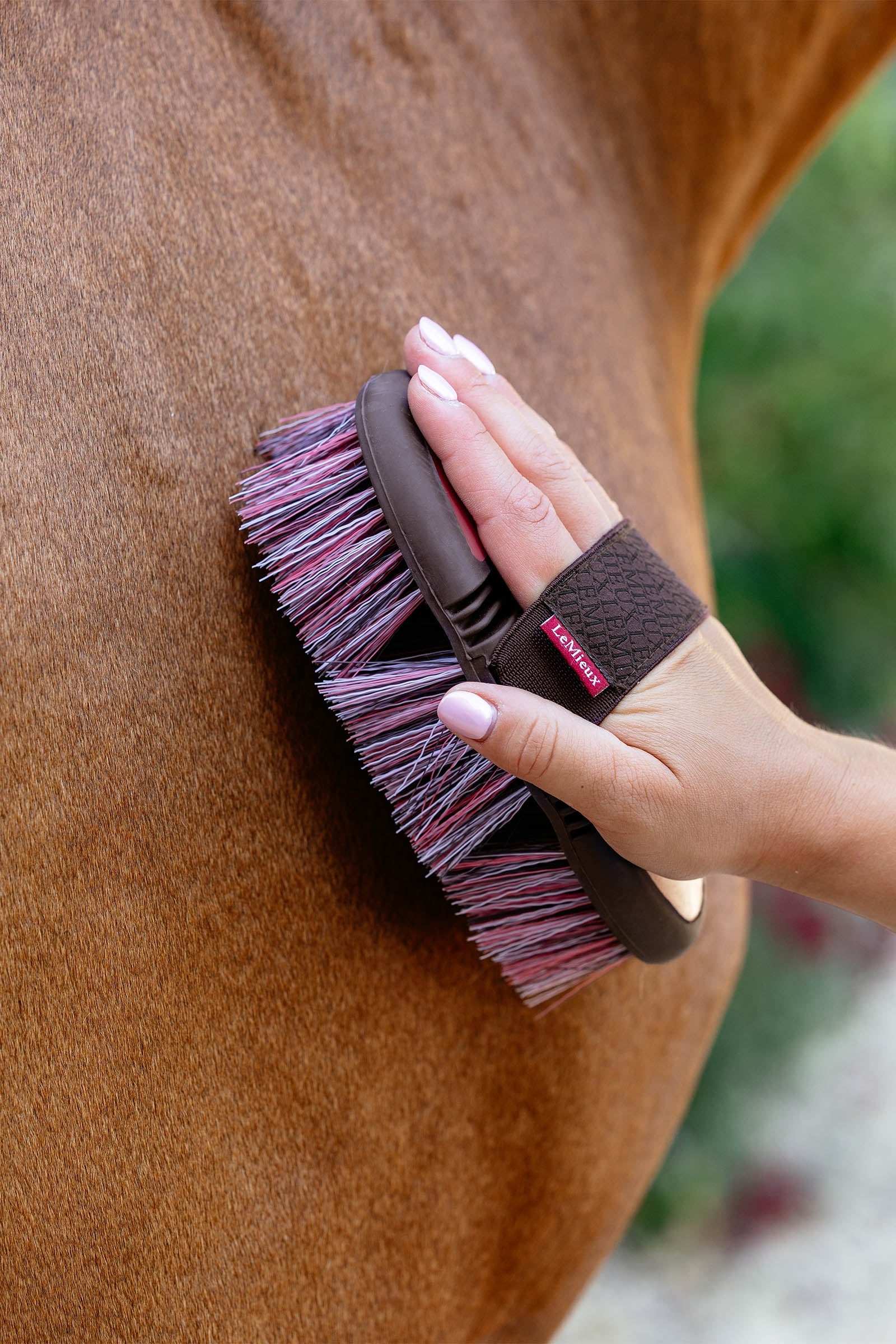 LeMieux Flexi Flicky Brush Horse Grooming Tools