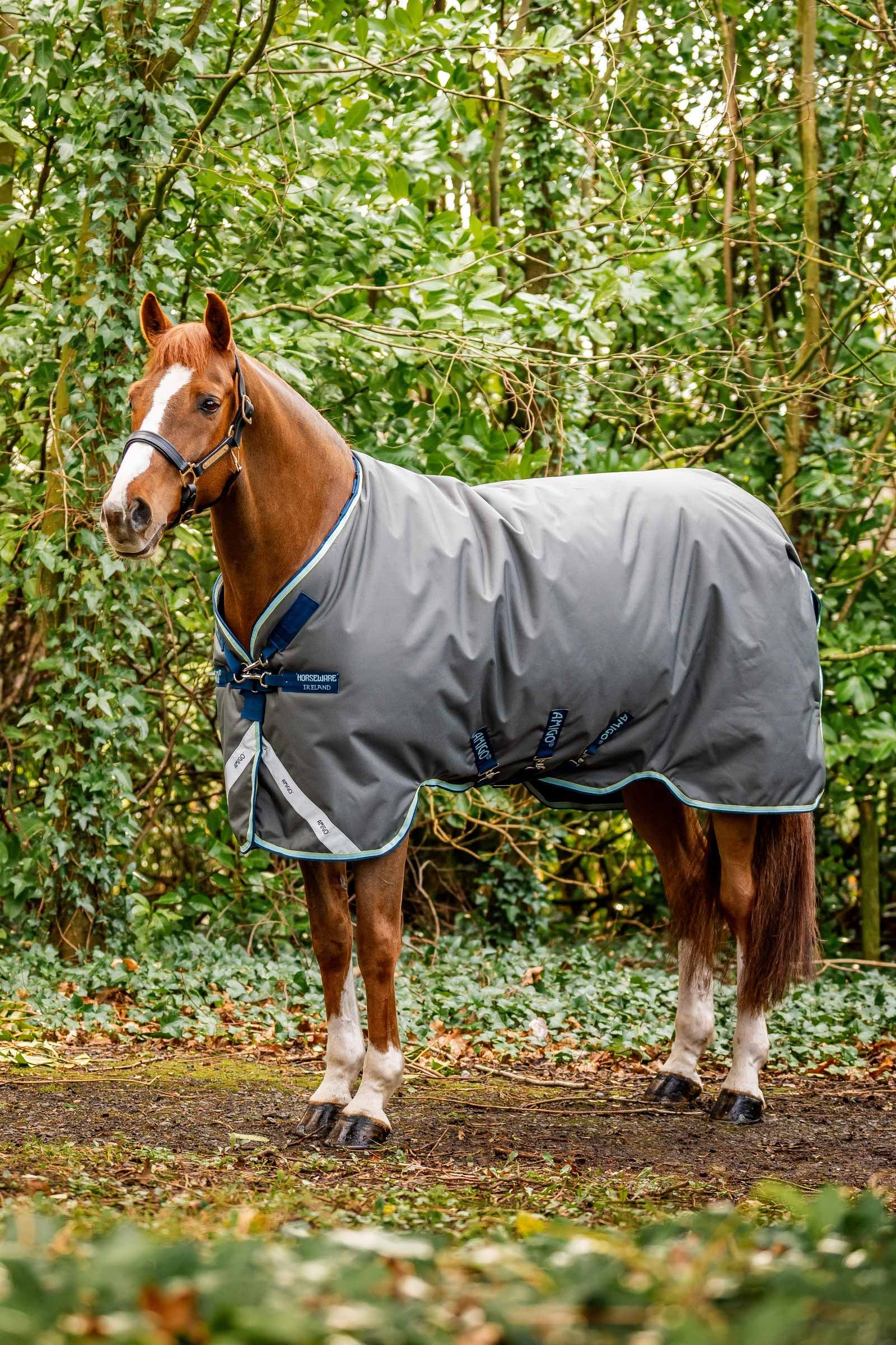 Horseware Amigo Bravo 12 Plus Turnout Rug With Detachable Neck, 400g Horse Rugs