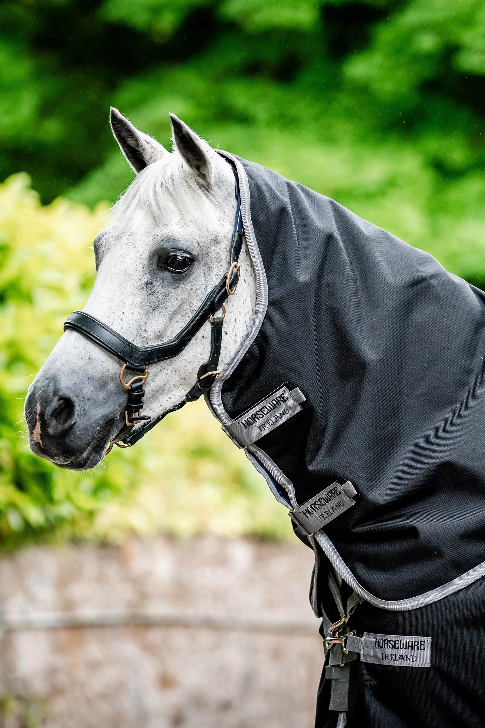 Horseware Amigo Bravo 12 Plus Turnout Rug With Detachable Neck, 400g Horse Rugs