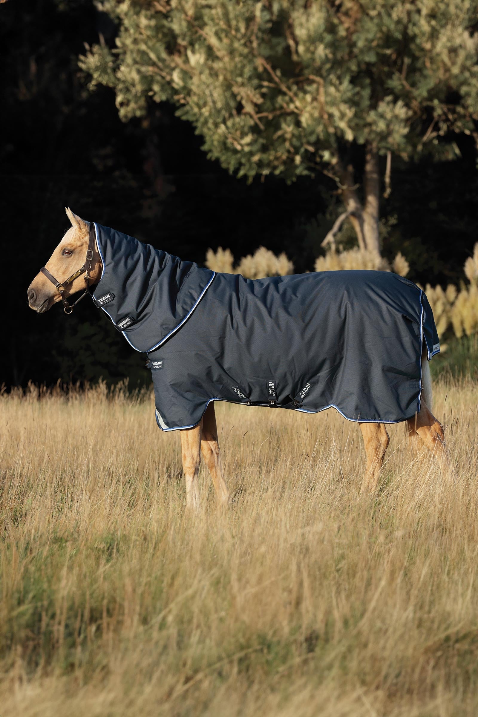 Horseware Amigo Bravo 12 Plus Turnout Rug With Detachable Neck, 400g Horse Rugs