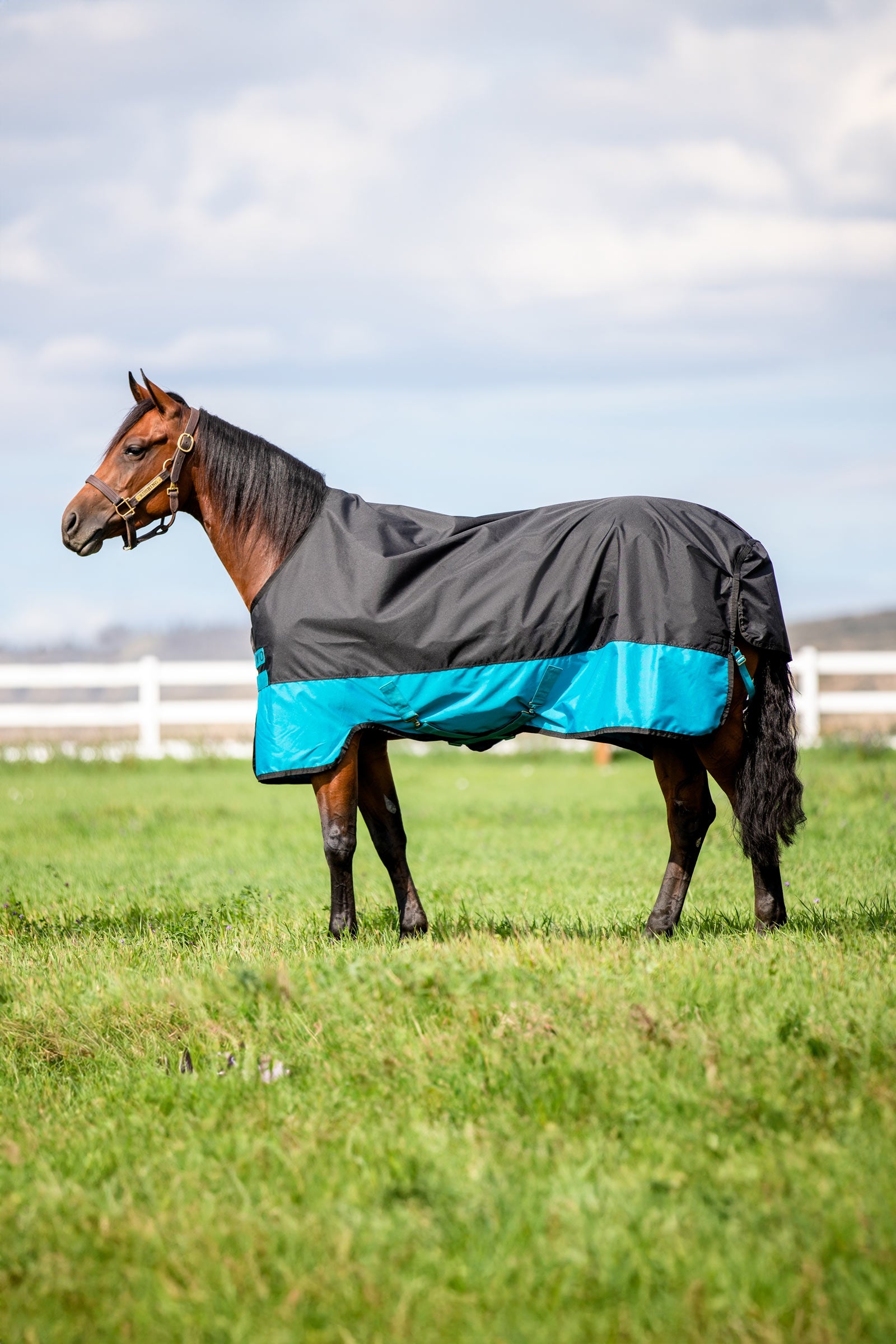 Horseware Mio utetäcke, 200 g Hästtäcken