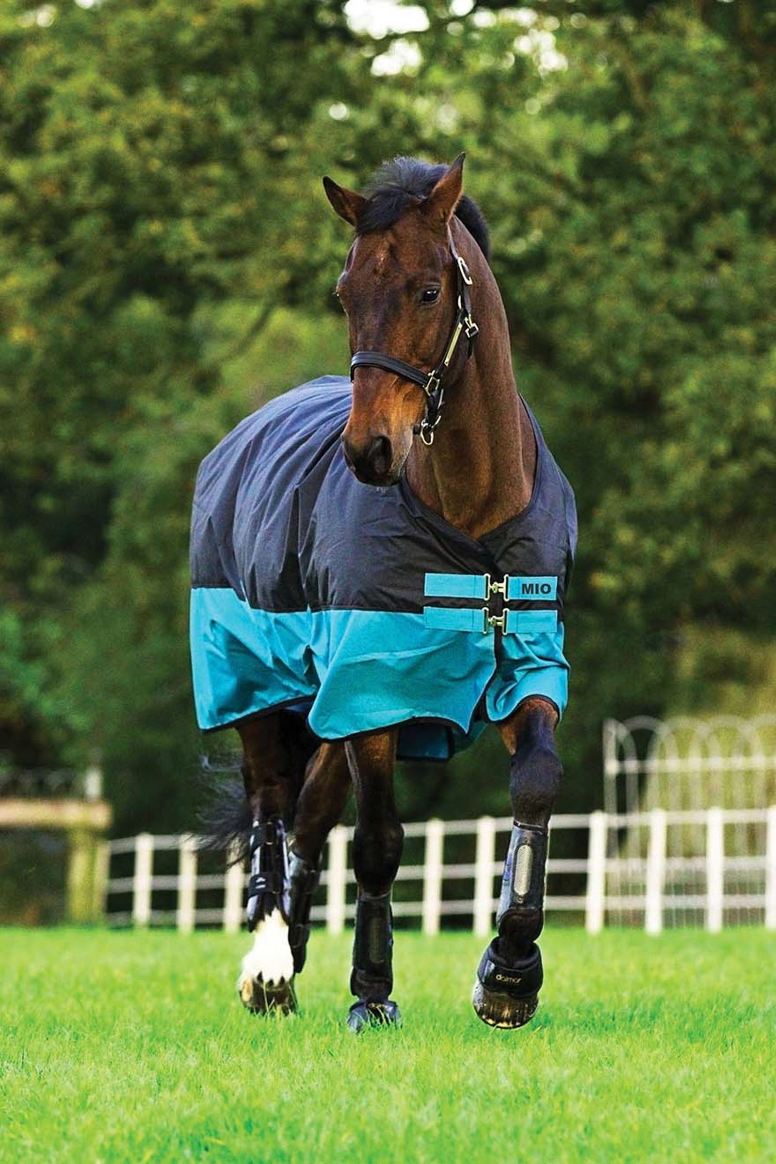 Horseware Mio Turnout Rug, 200g Horse Rugs