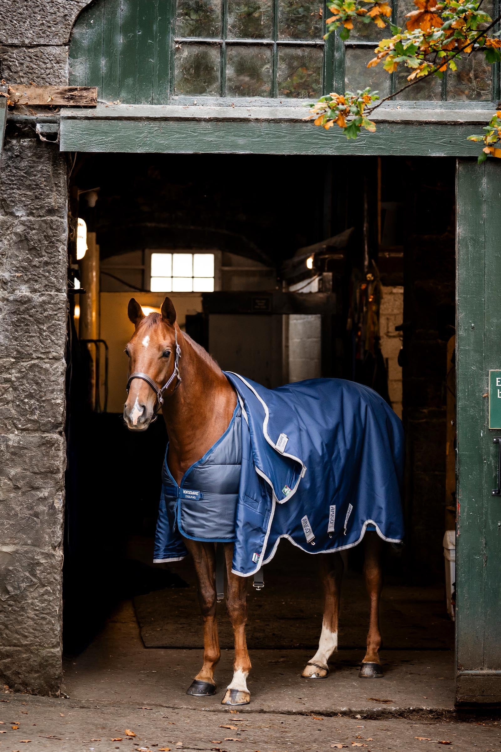 Horseware Liner 50g Horse Rugs
