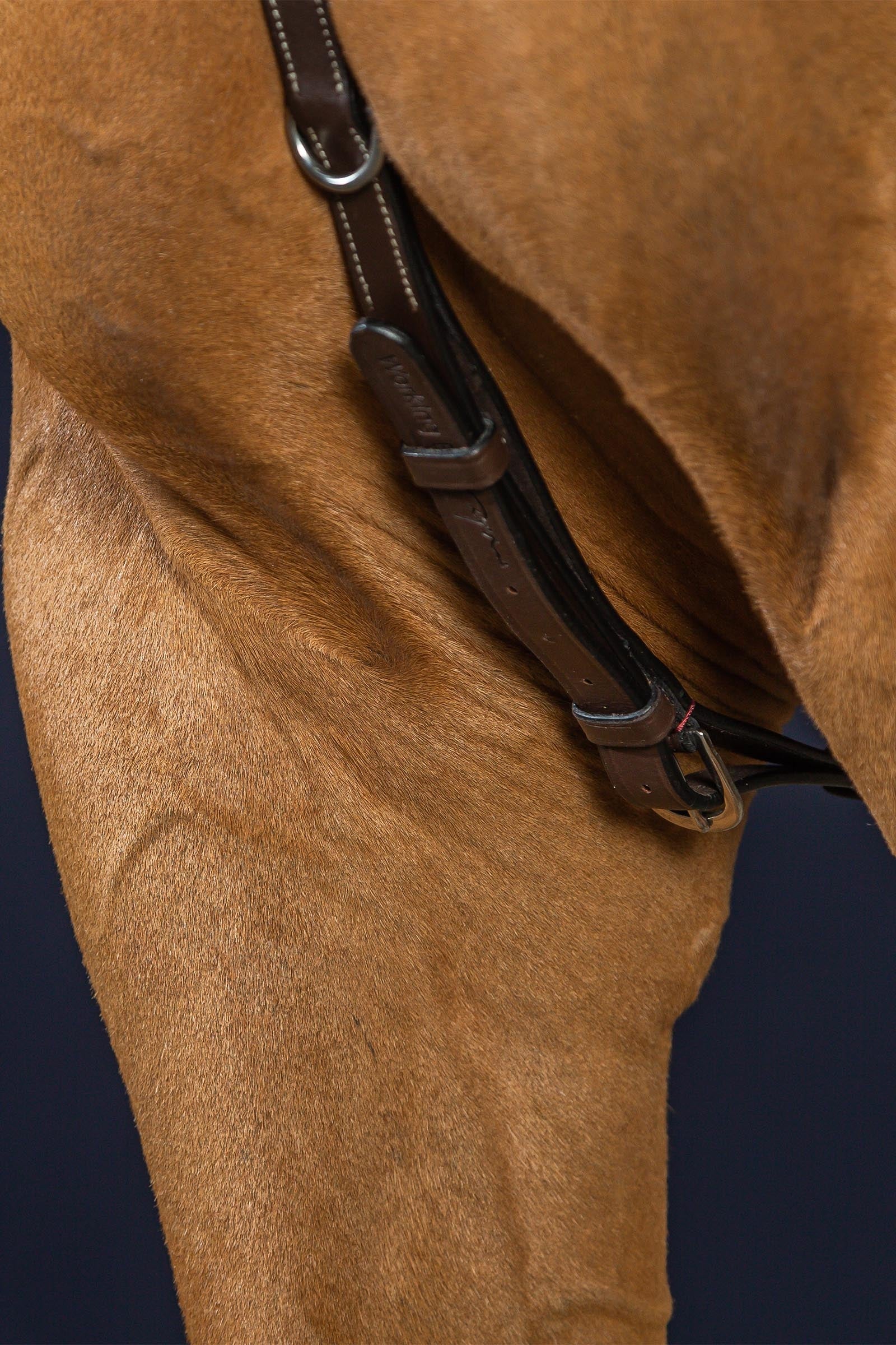 Dy'on Working Bridge Breastplate Bridles & Reins