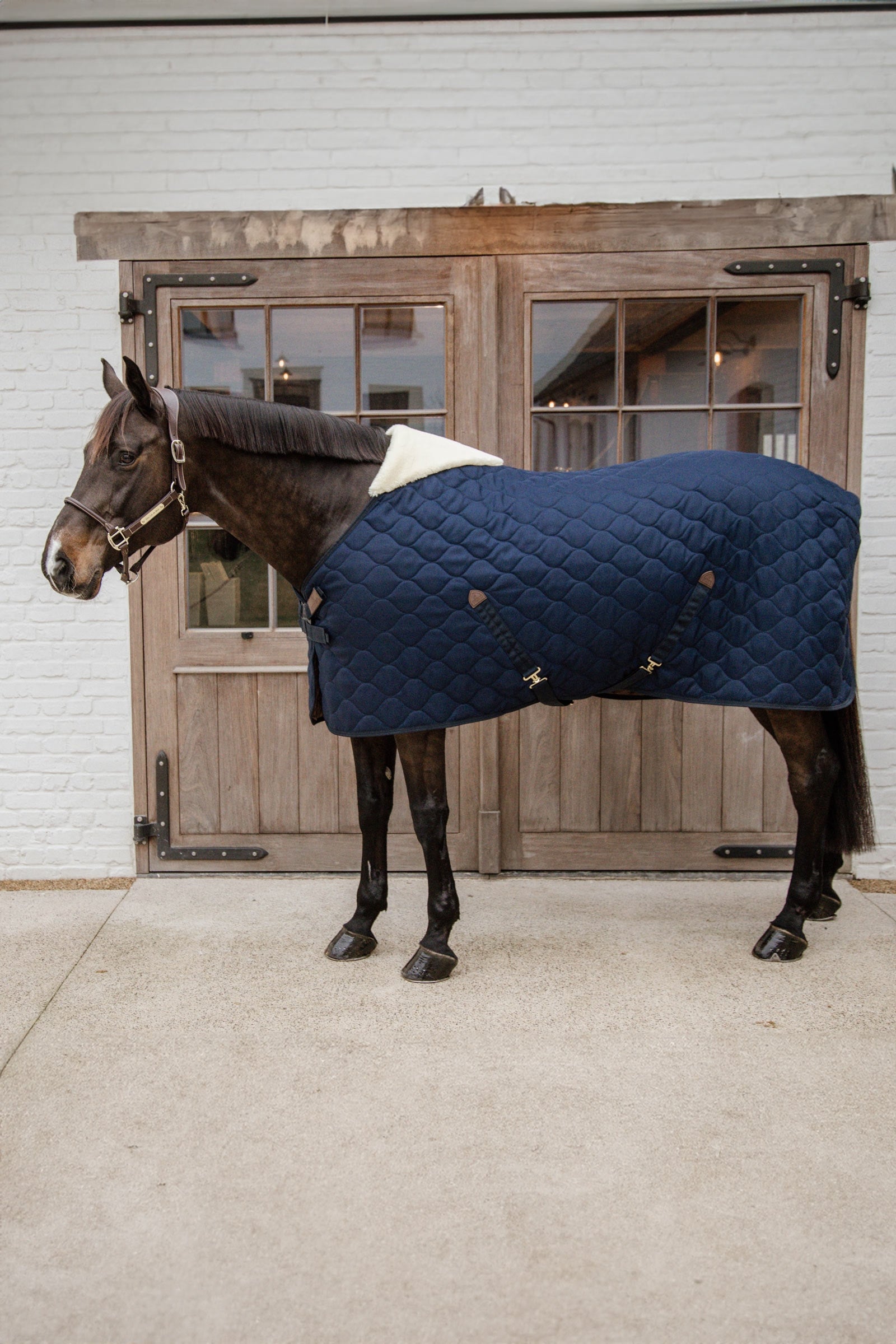 Kentucky Horsewear Stable rug comfort 100g Horse Rugs