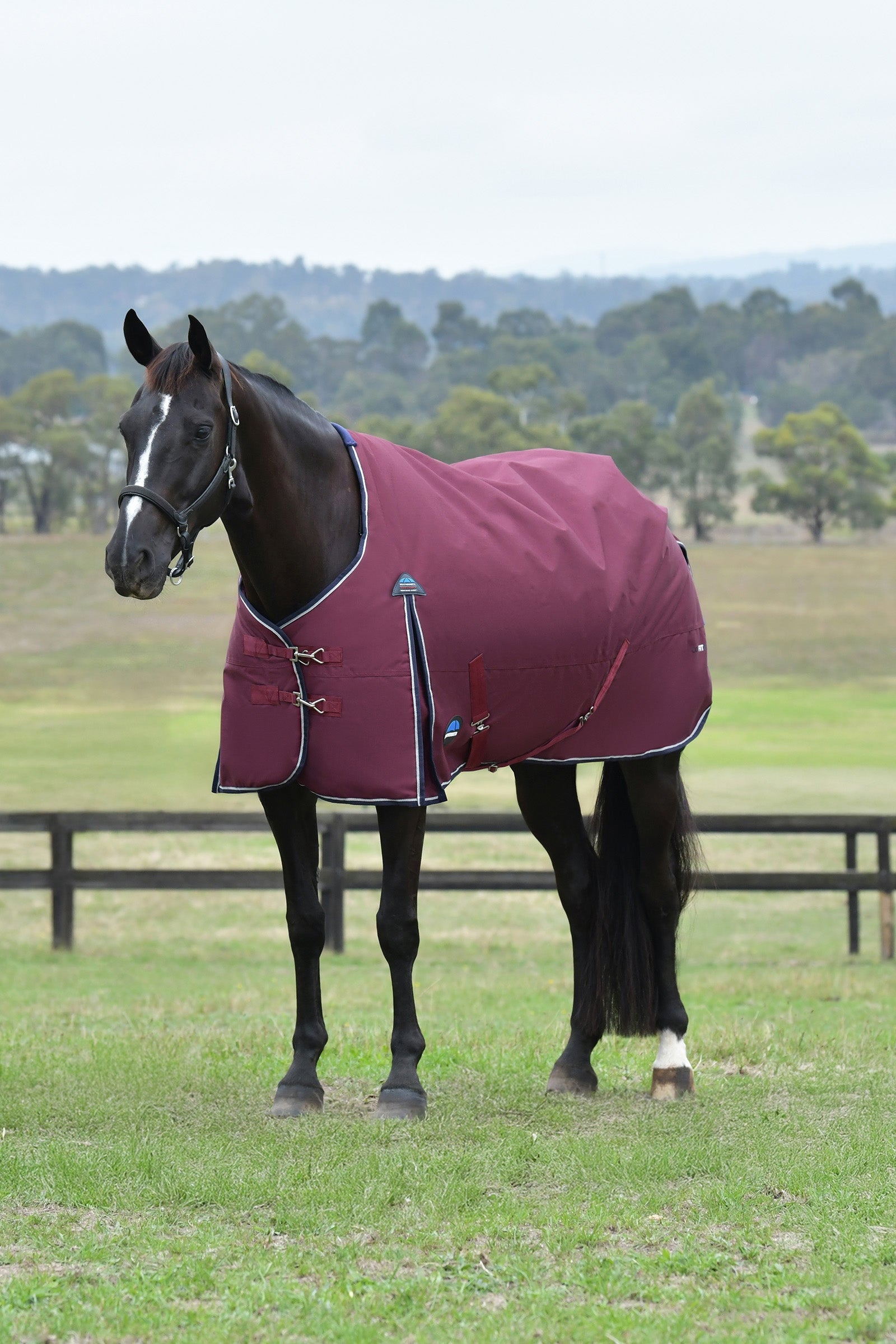 Weatherbeeta ComFiTec Essential Turnout Standard Neck 50G Hästtäcken