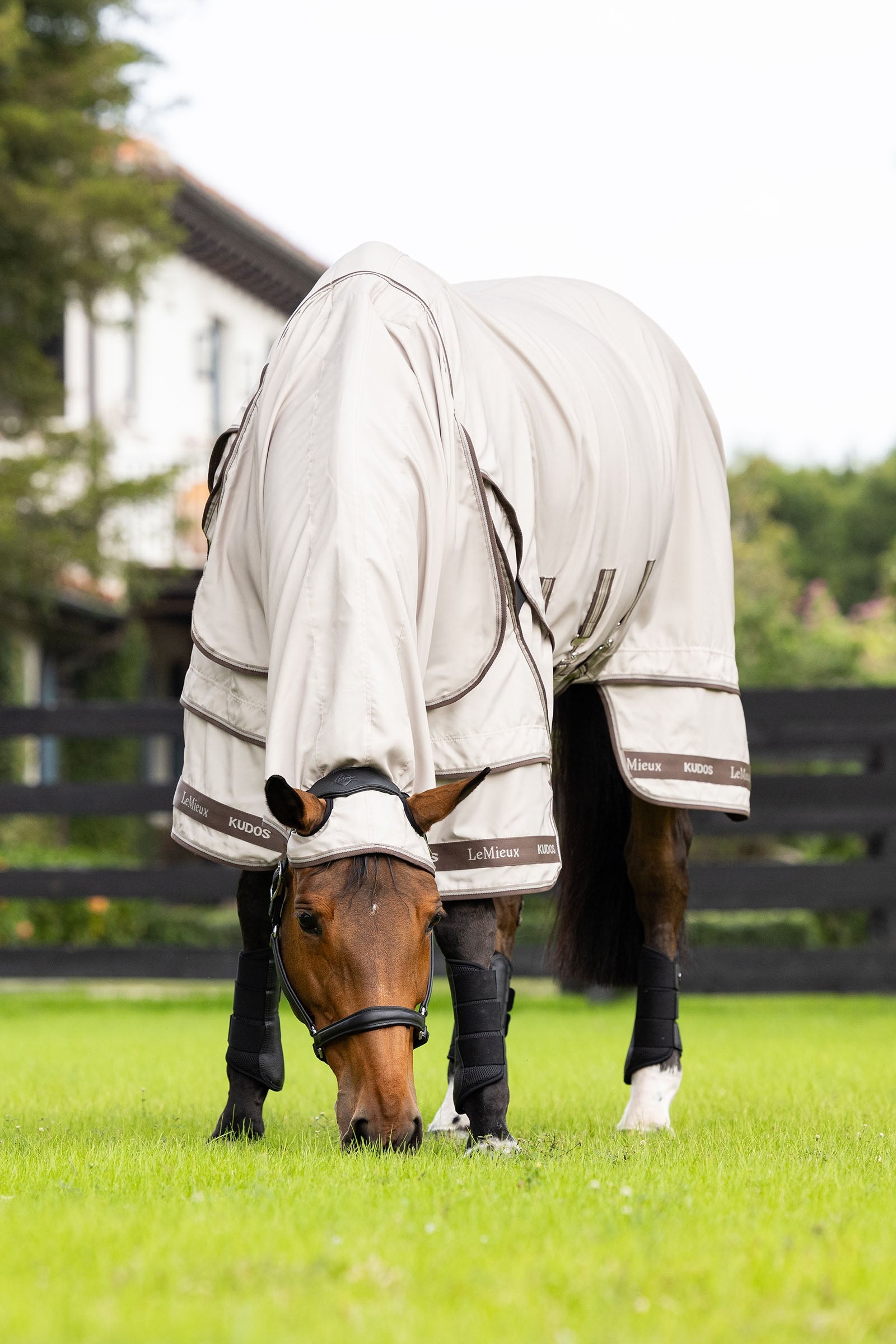 LeMieux Kudos Sweet Itch Rug Horse Rugs