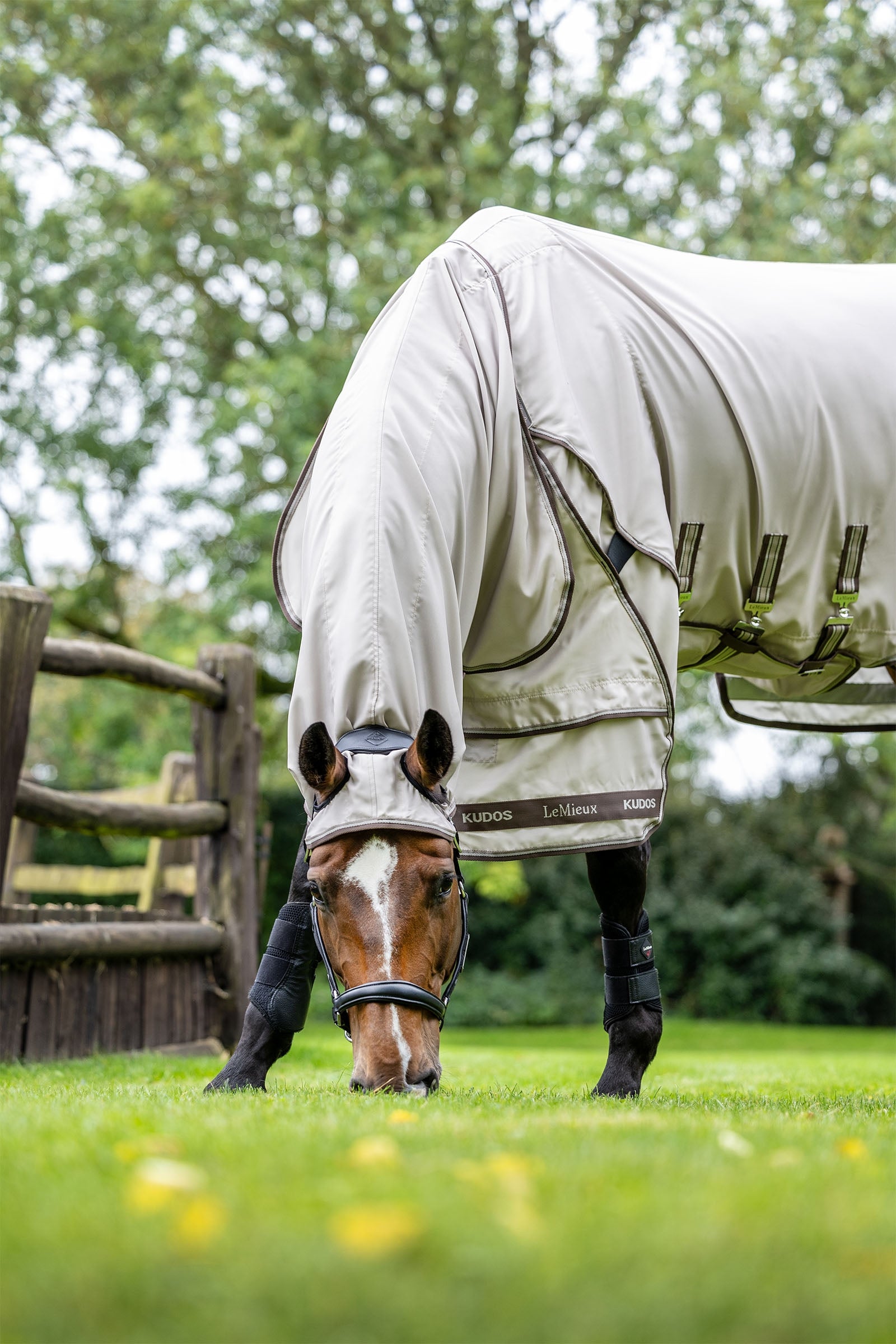 LeMieux Kudos Sweet Itch Rug Horse Rugs