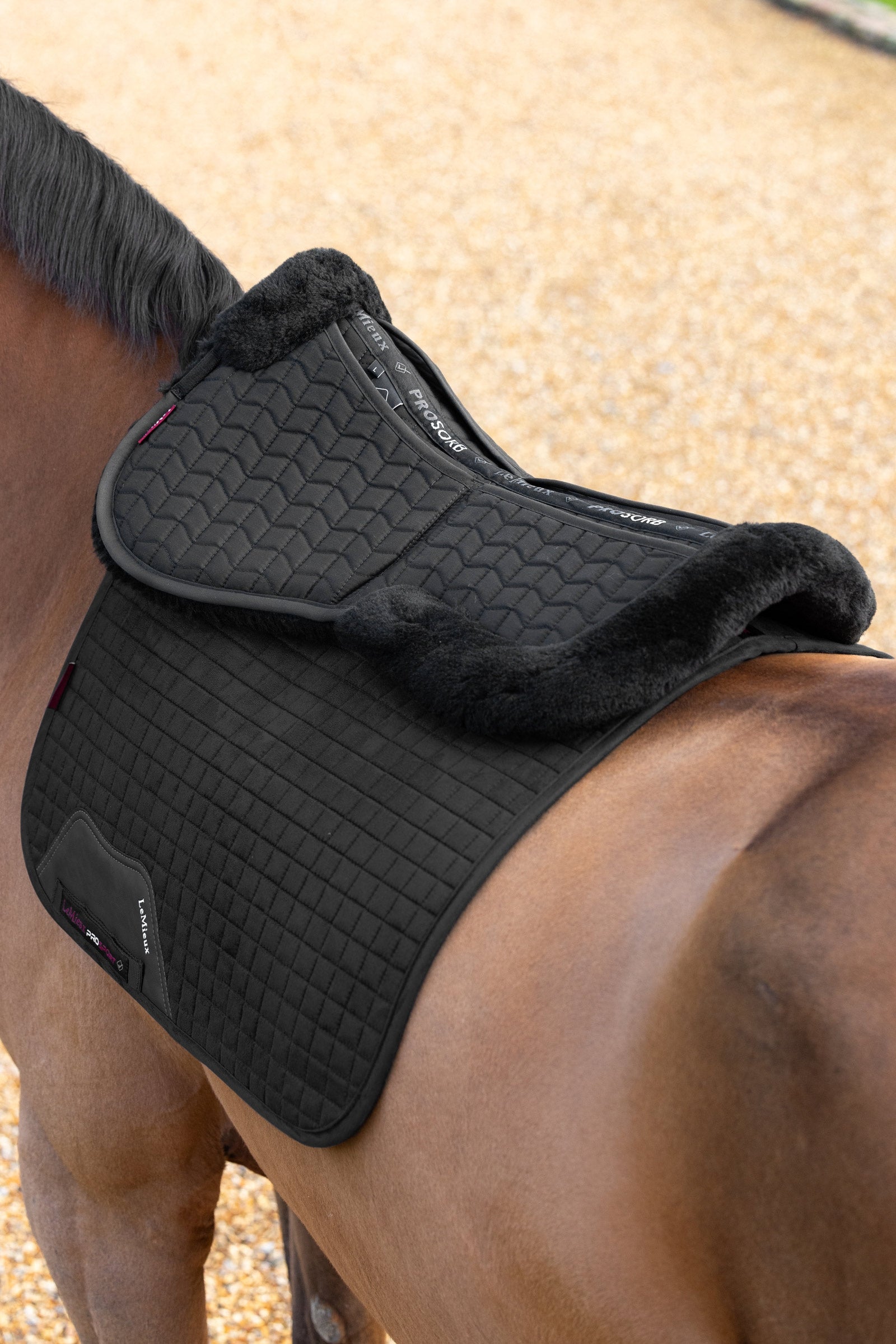 LeMieux Merino+ ProSorb 2 Pocket Half Pad Saddle Pads