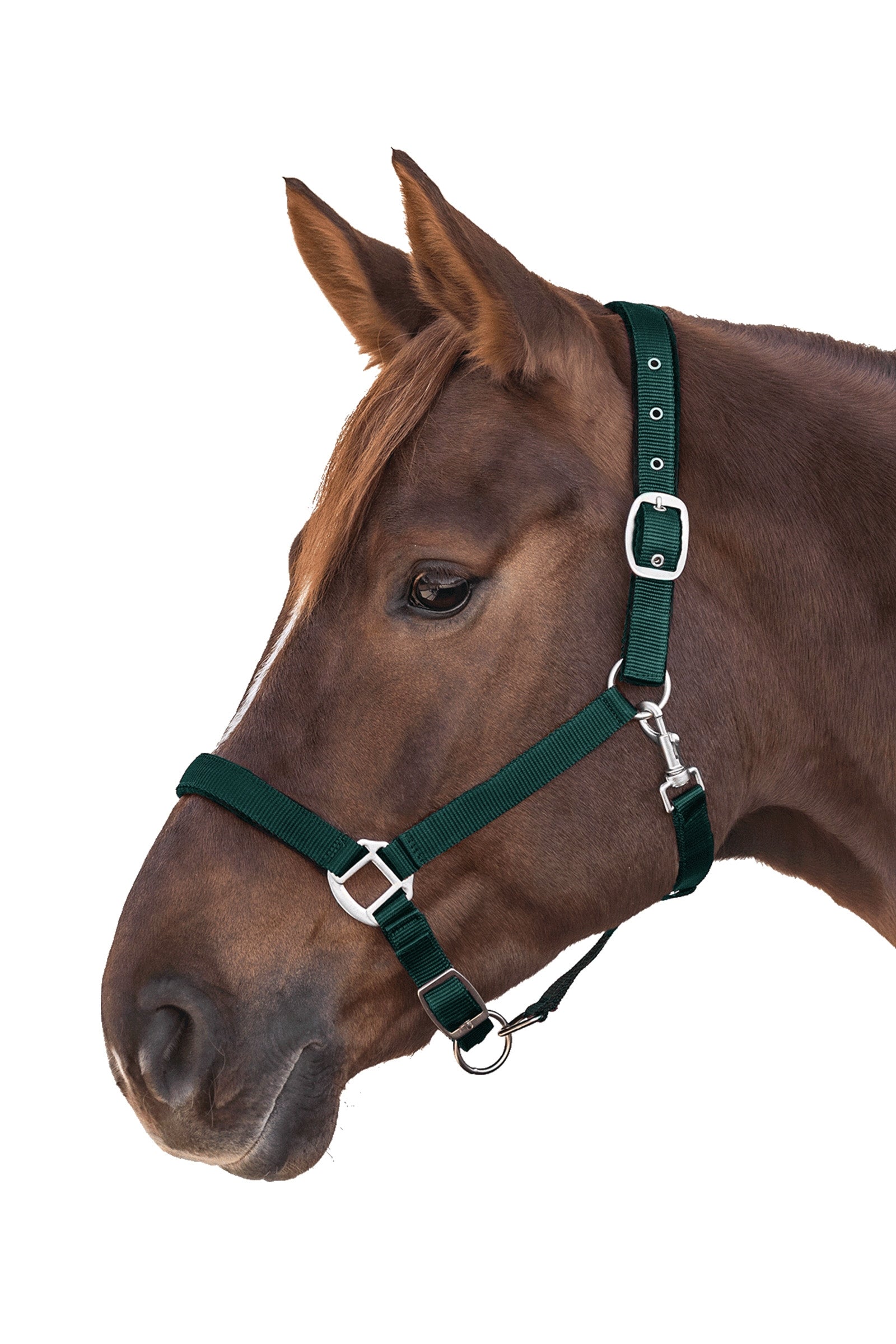Pack shot 2