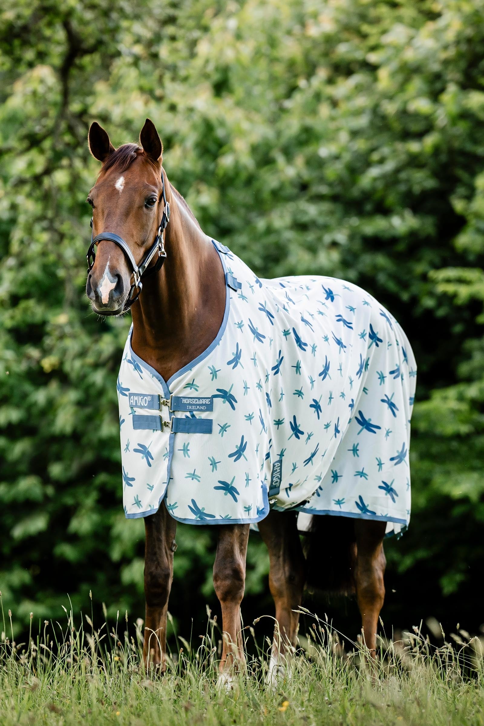 Horseware Amigo flugtäcke med UV-skydd Hästtäcken