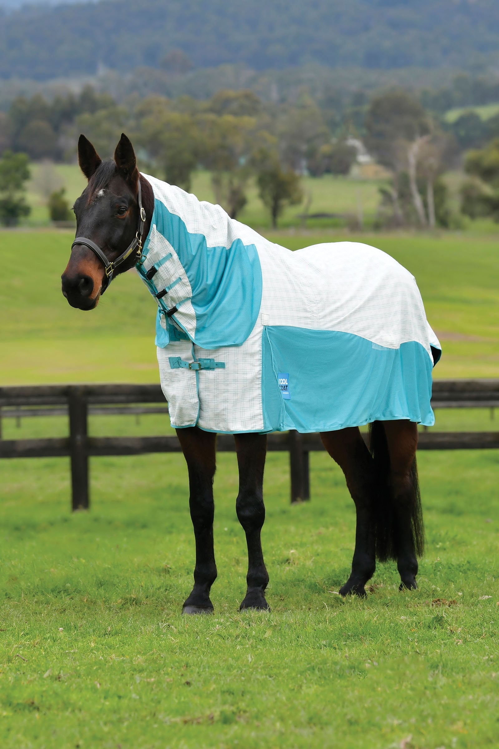 Weatherbeeta Kool Coat Cotton Airstream Ii Detach-A-Neck Horse Rugs