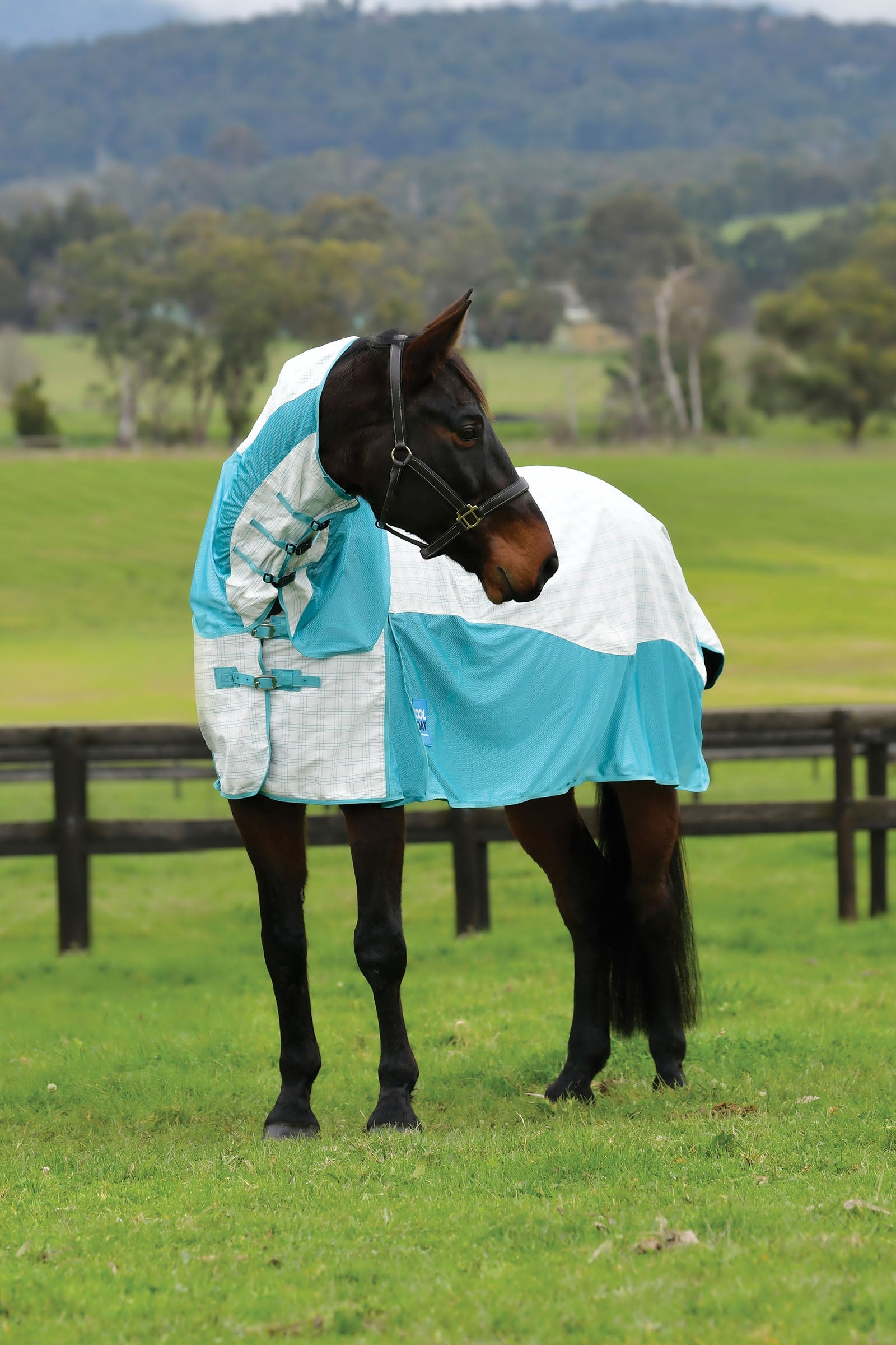 Weatherbeeta Kool Coat Cotton Airstream Ii Detach-A-Neck Horse Rugs