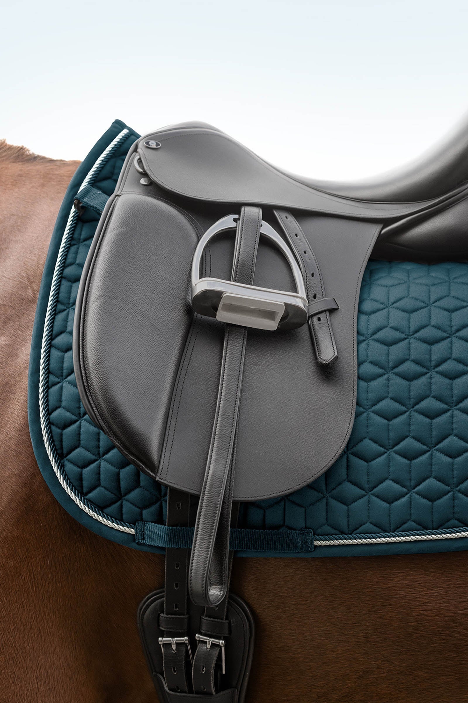 Waldhausen Philadelphia Dressage Saddle Pad Saddle Pads