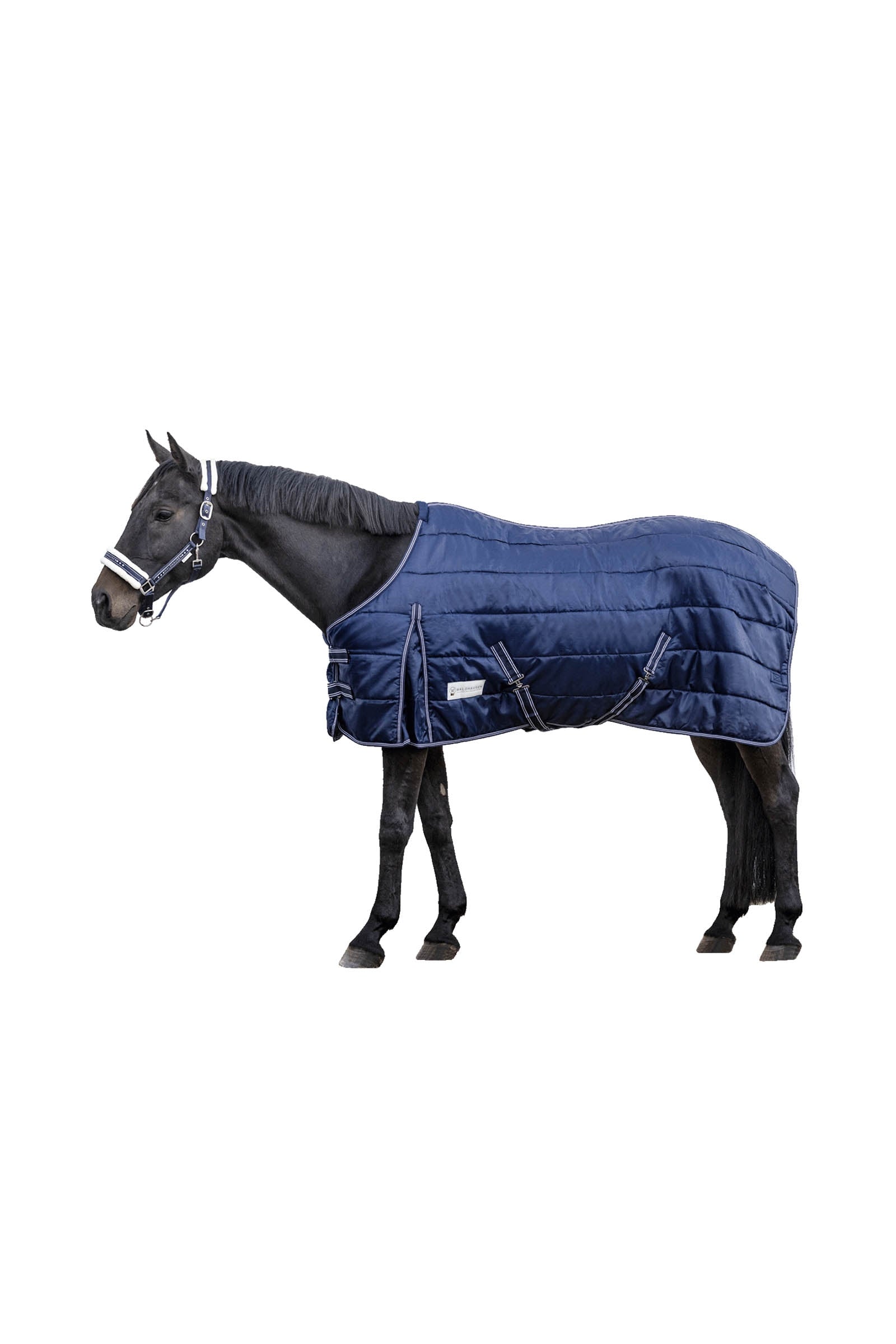 Waldhausen Stable Rug Economic 300 g Hästtäcken