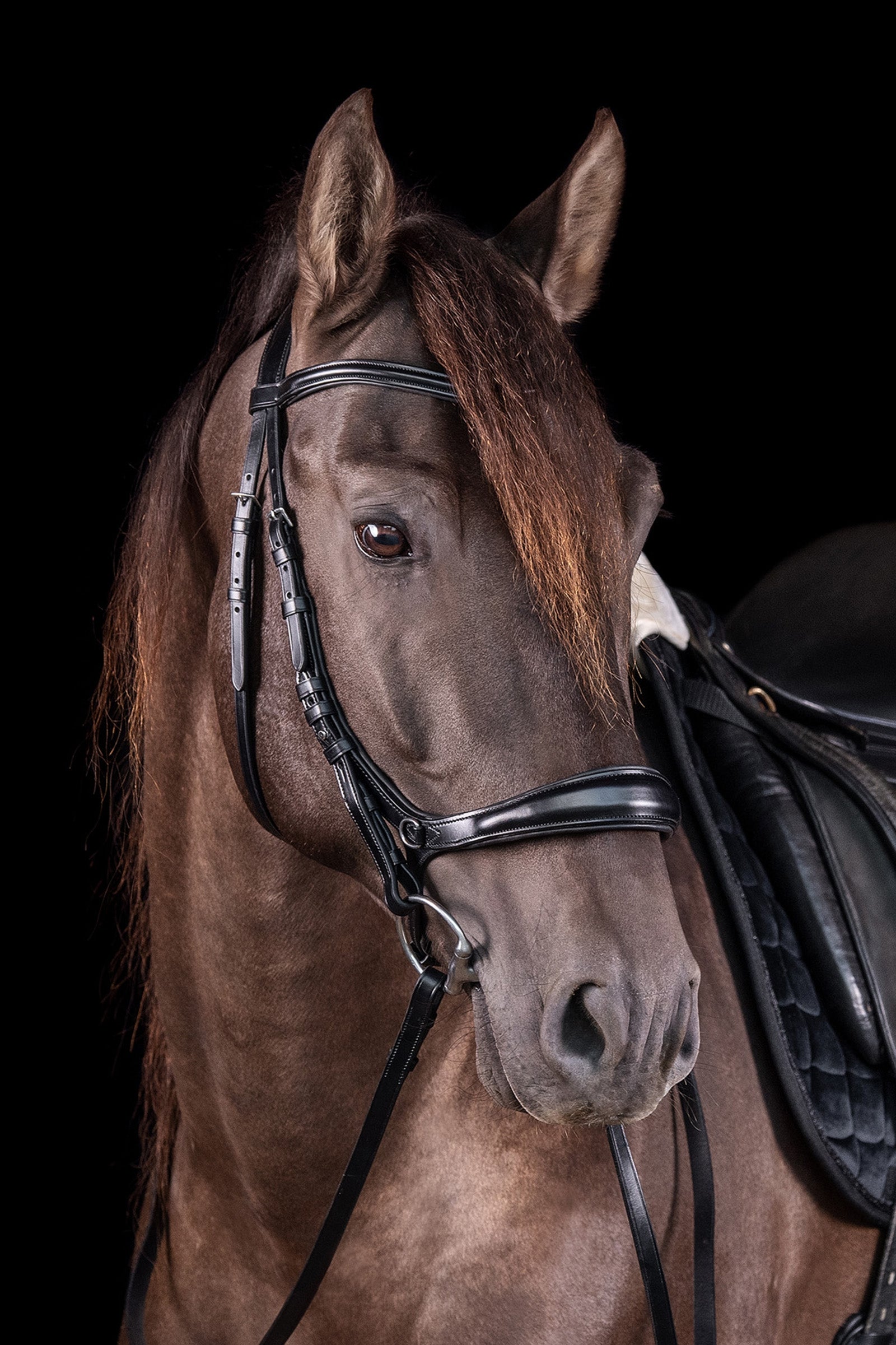 Schockemöhle Sports Equitus Theta 3in1 Bridle Bridles & Reins
