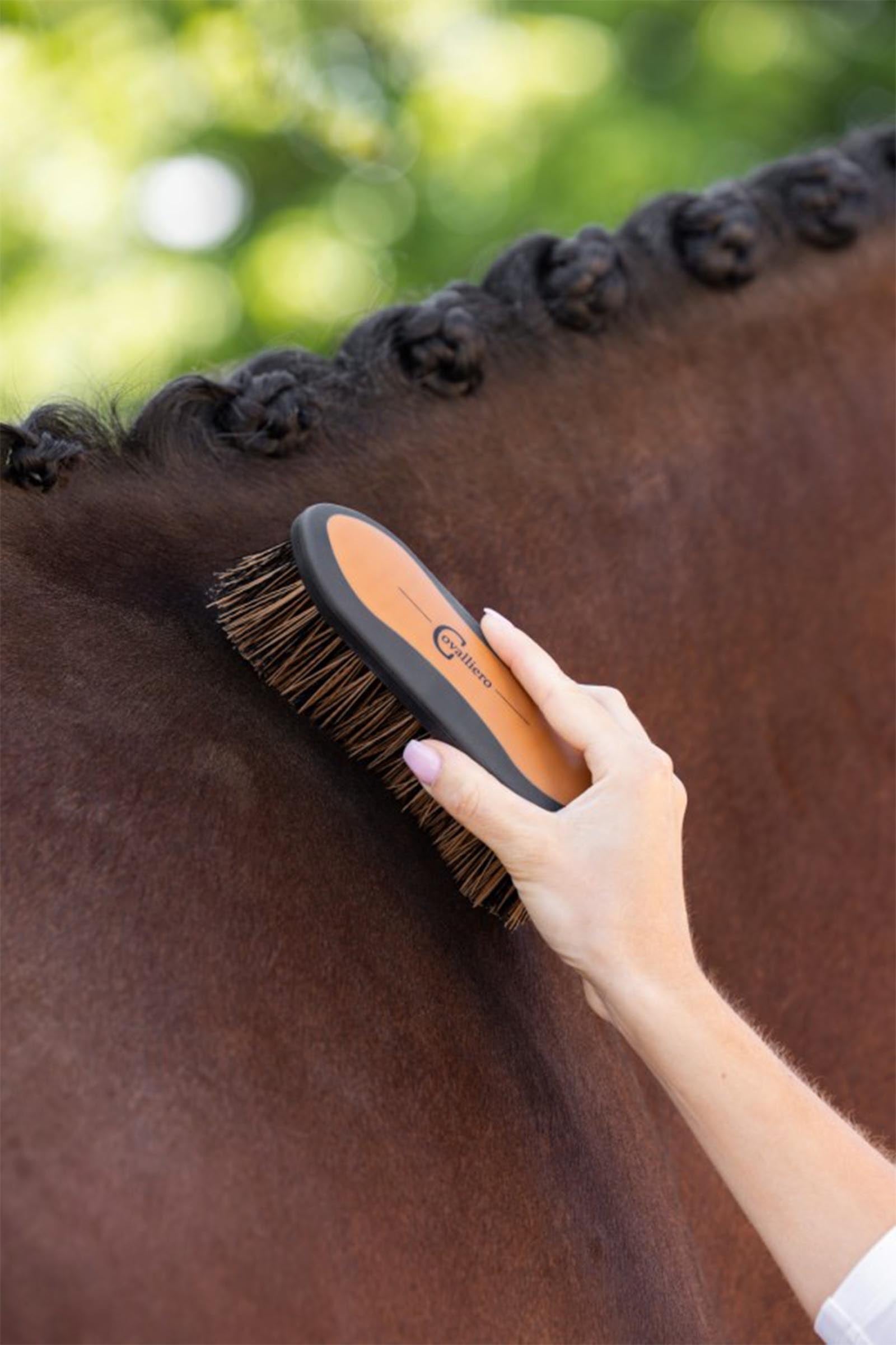 Covalliero 2K Brush, Size 1 Horse Grooming Tools