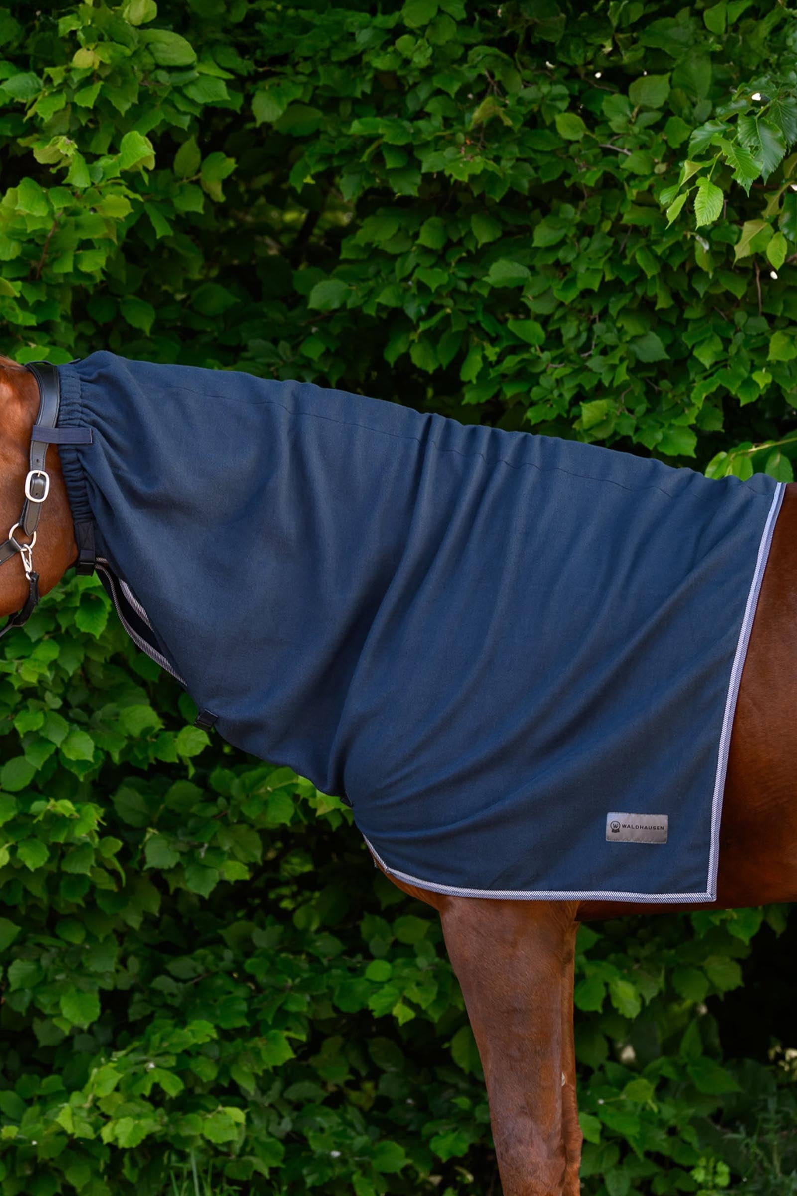 Waldhausen ECONOMIC fleece halsdel Hästtäcken