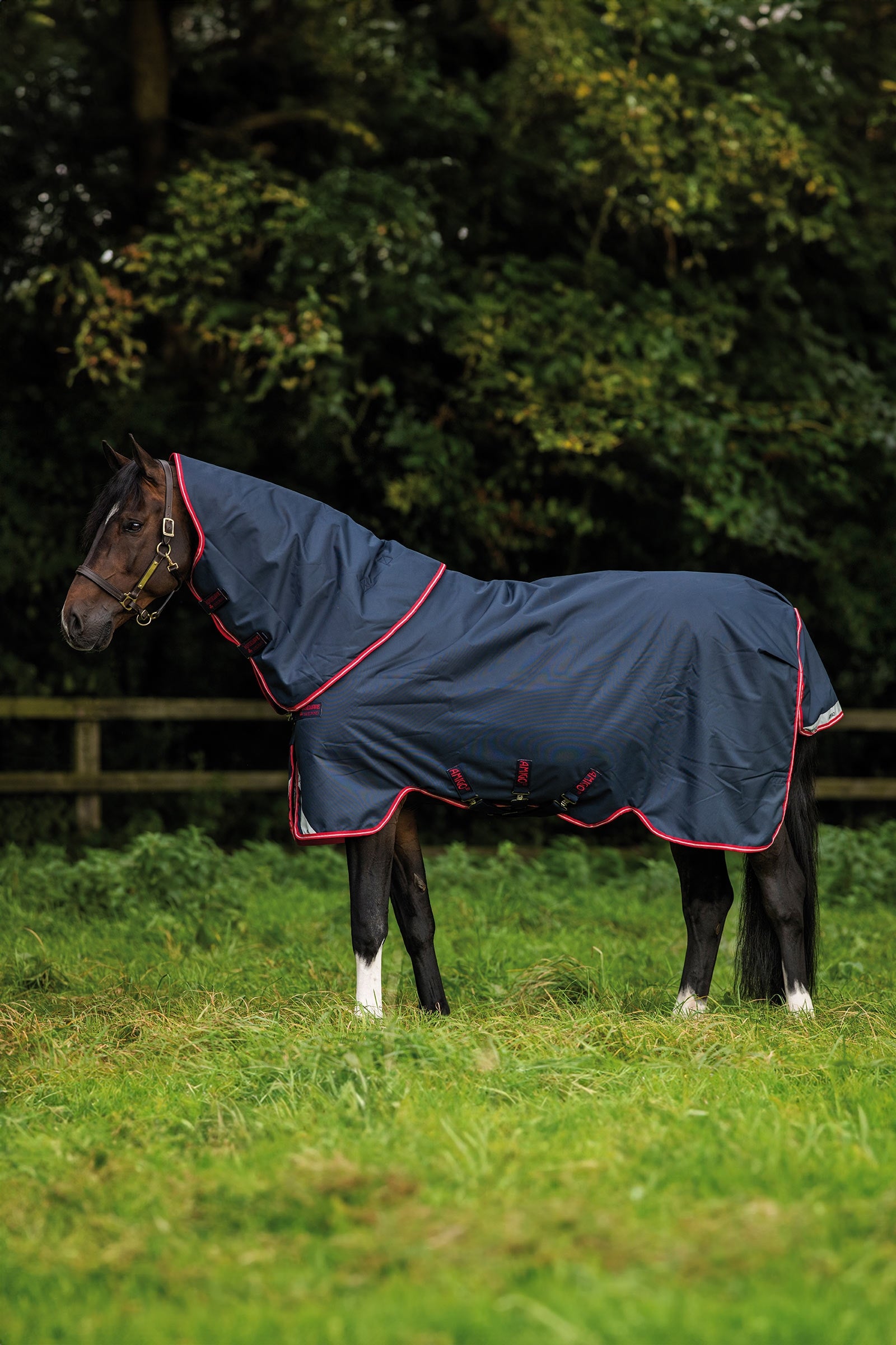Horseware Amigo Bravo 12 Plus utetäcke, 250 g Hästtäcken