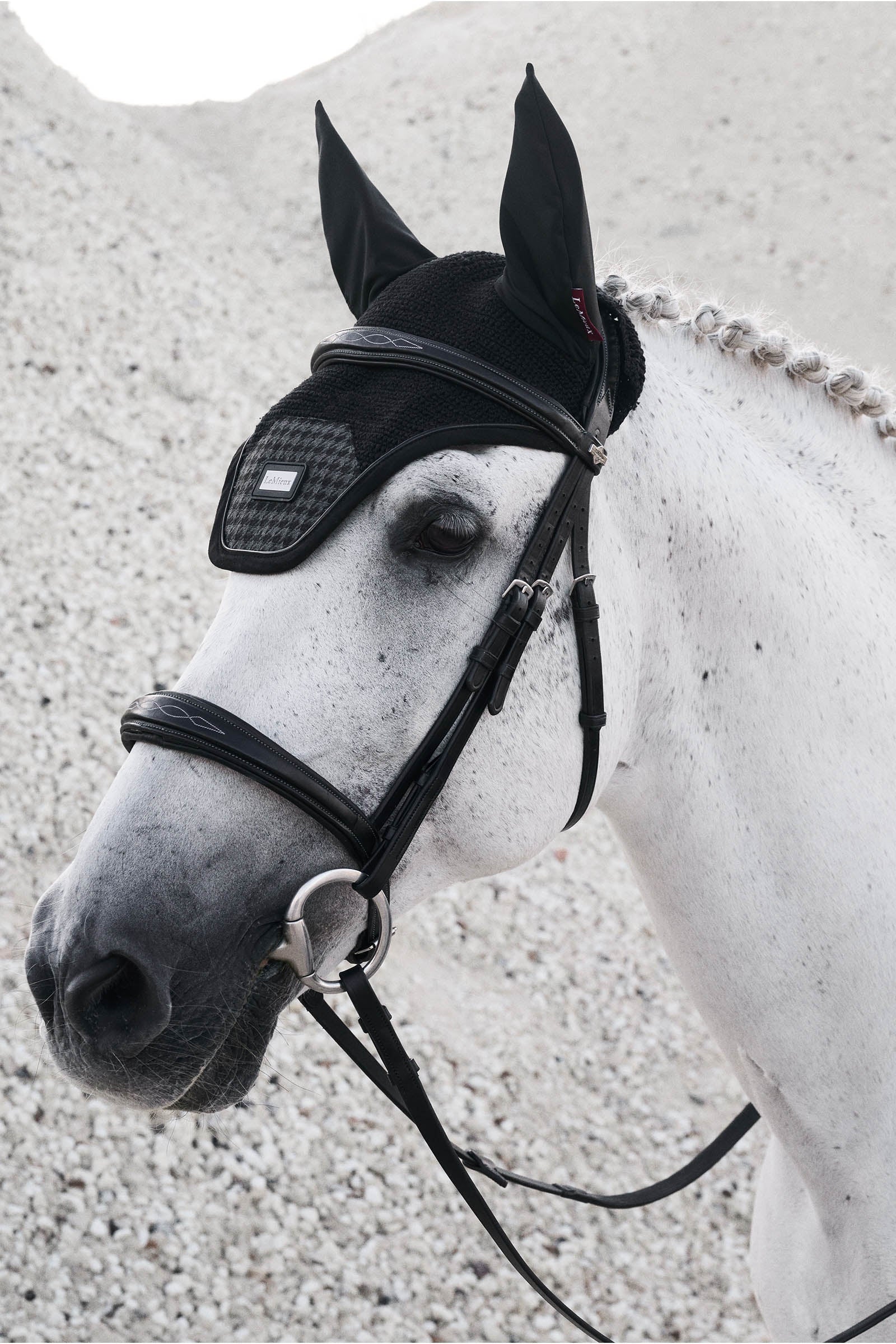 LeMieux Aspen Fly Hood Saddle Pads