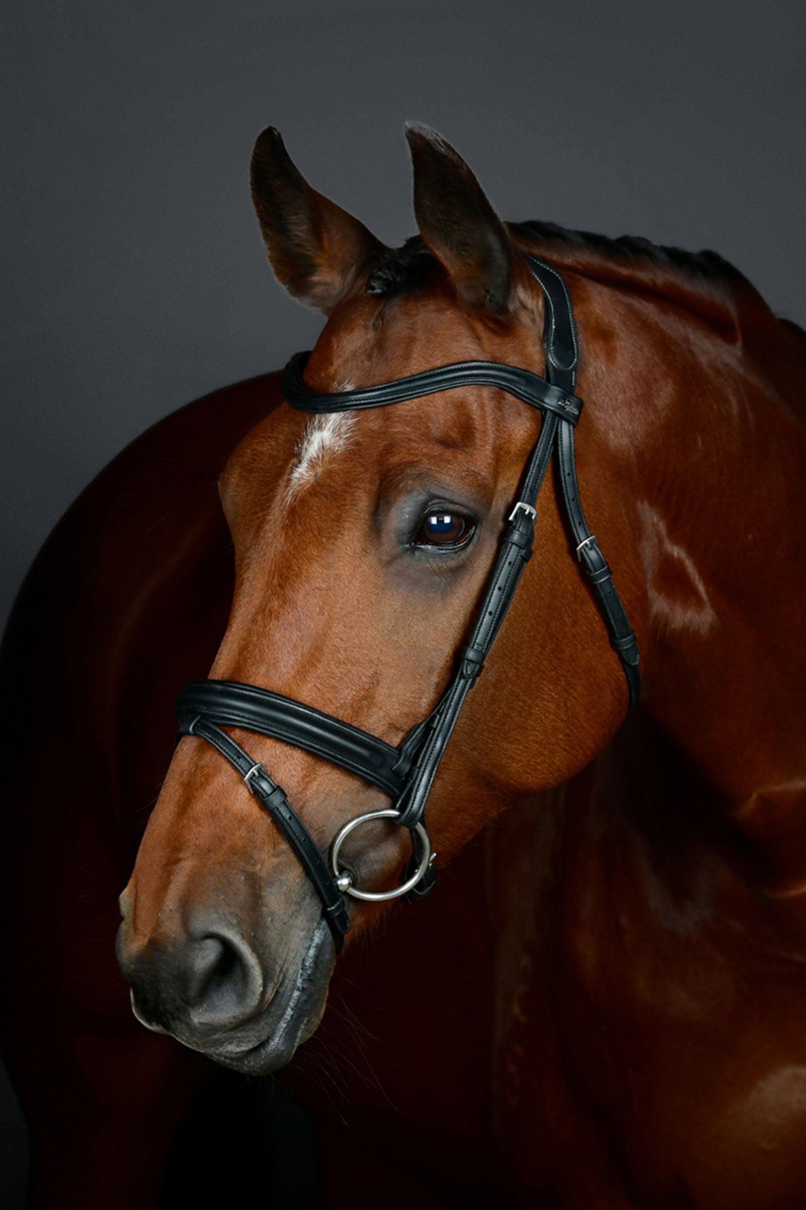 Collegiate Comfitec Opulux Plain Padded Hanoverian Flash Bridle Bridles & Reins