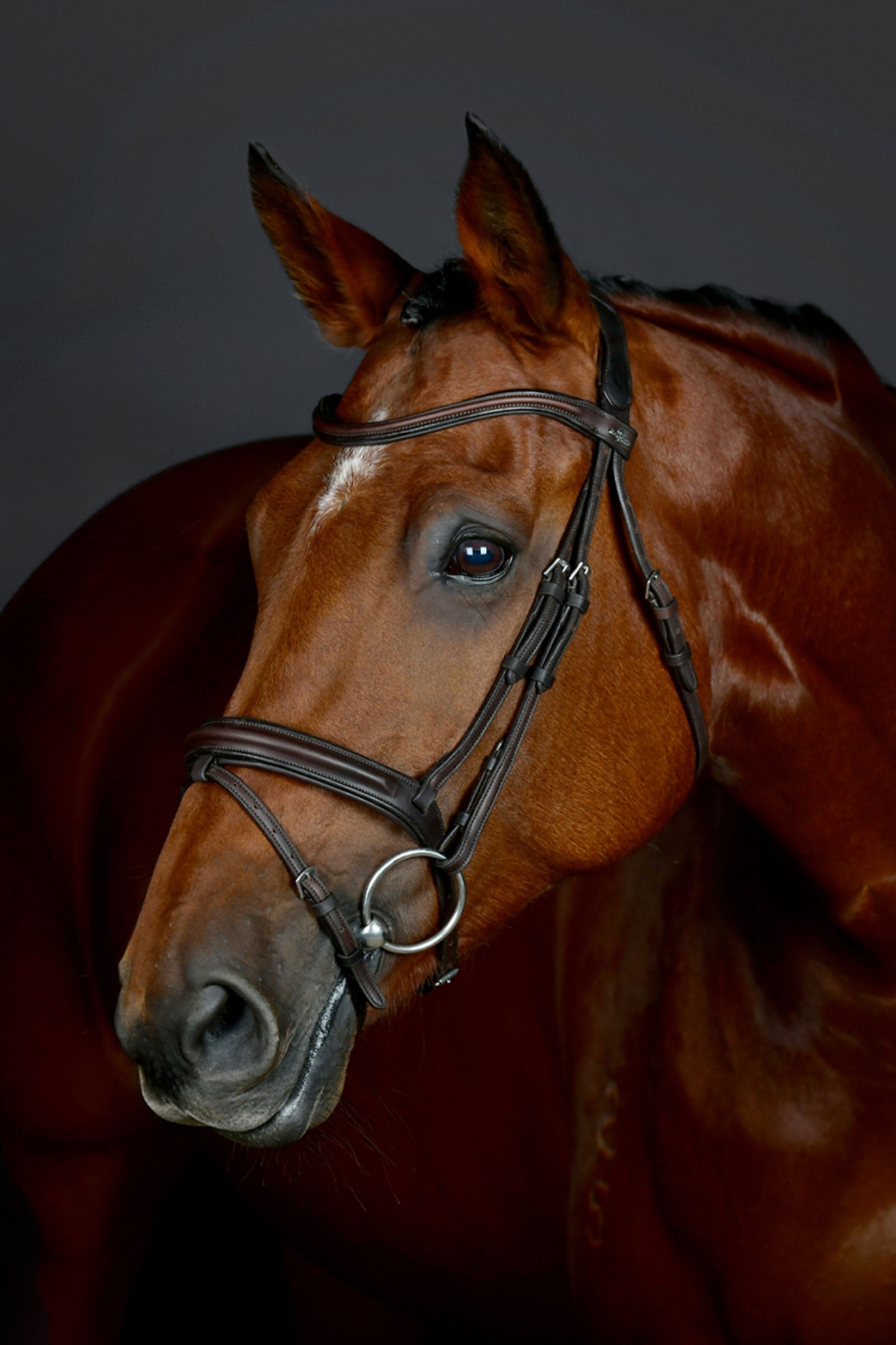 Collegiate Comfitec Opulux enkel vadderad träns med kombinerad hannoveransk nosgrimma Träns & Tyglar