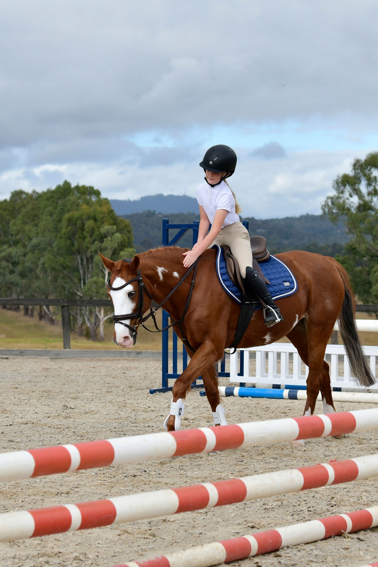 Collegiate Comfitec Opulux Plain Padded Hanoverian Flash Bridle Bridles & Reins