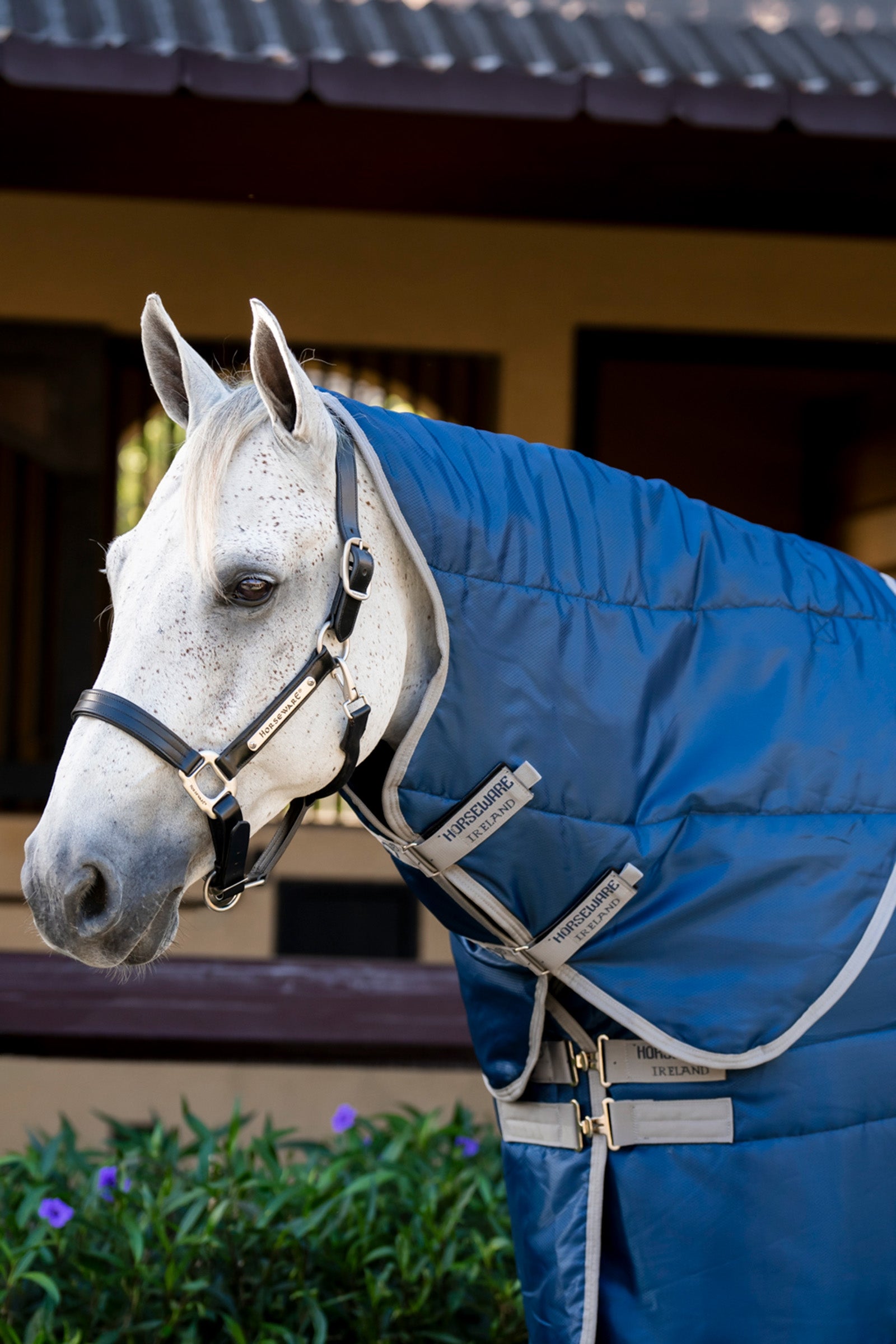 Horseware Amigo Ripstop Insulator stallhätta, 100 g Hästtäcken