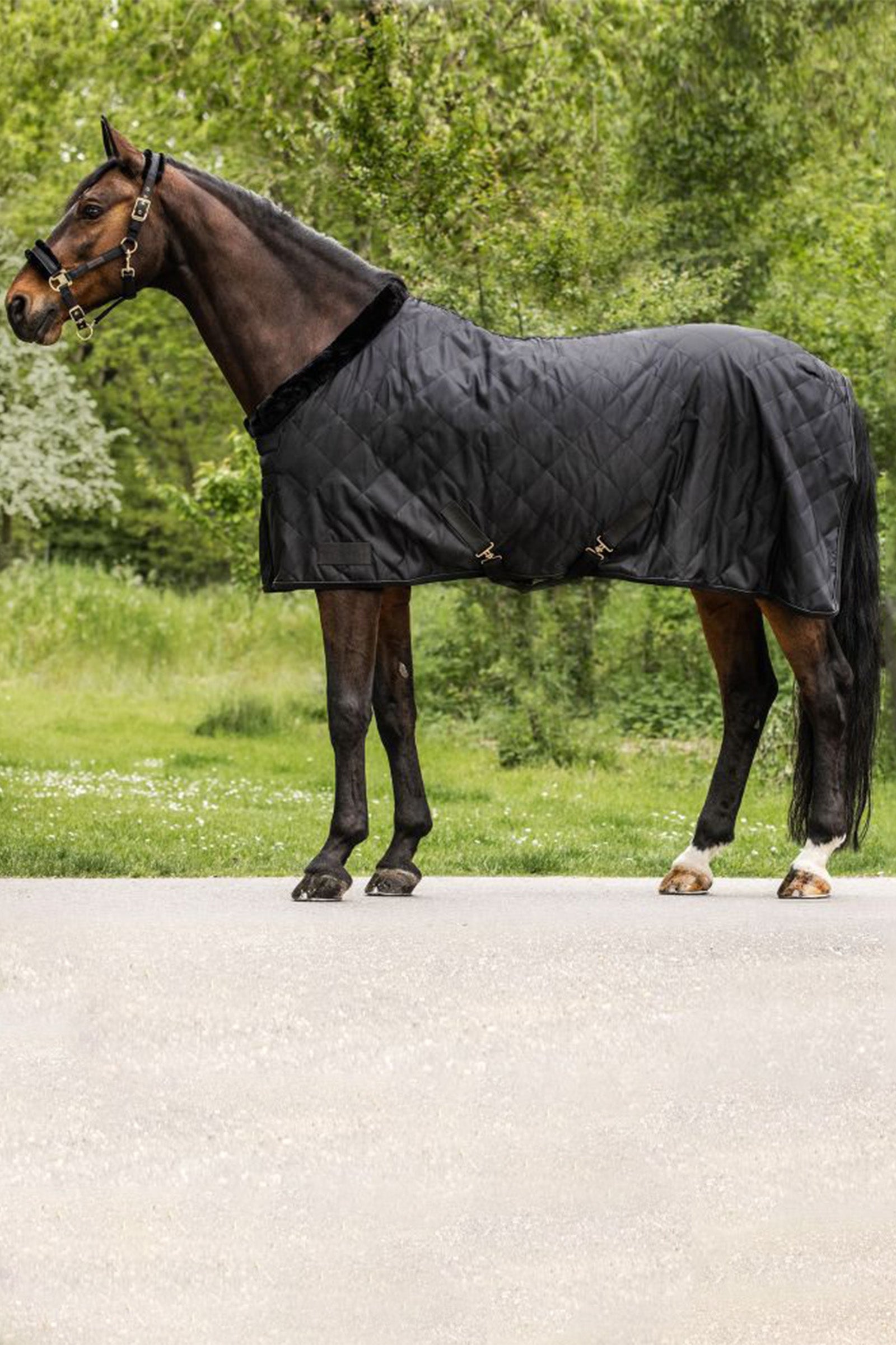 Waldhausen Exclusive Travel Rug, 50g Horse Rugs