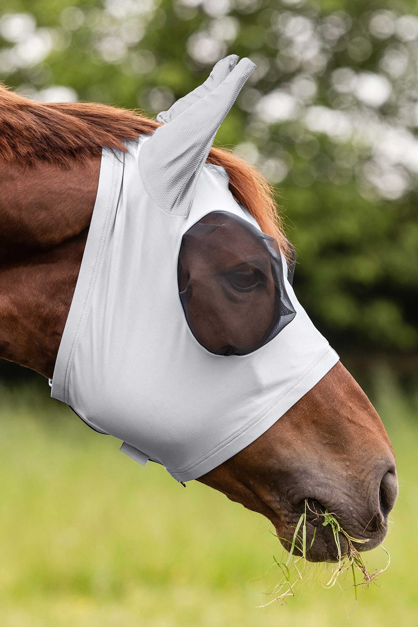 Waldhausen Puck Fly Mask With Zip Antifly Protection for Horses