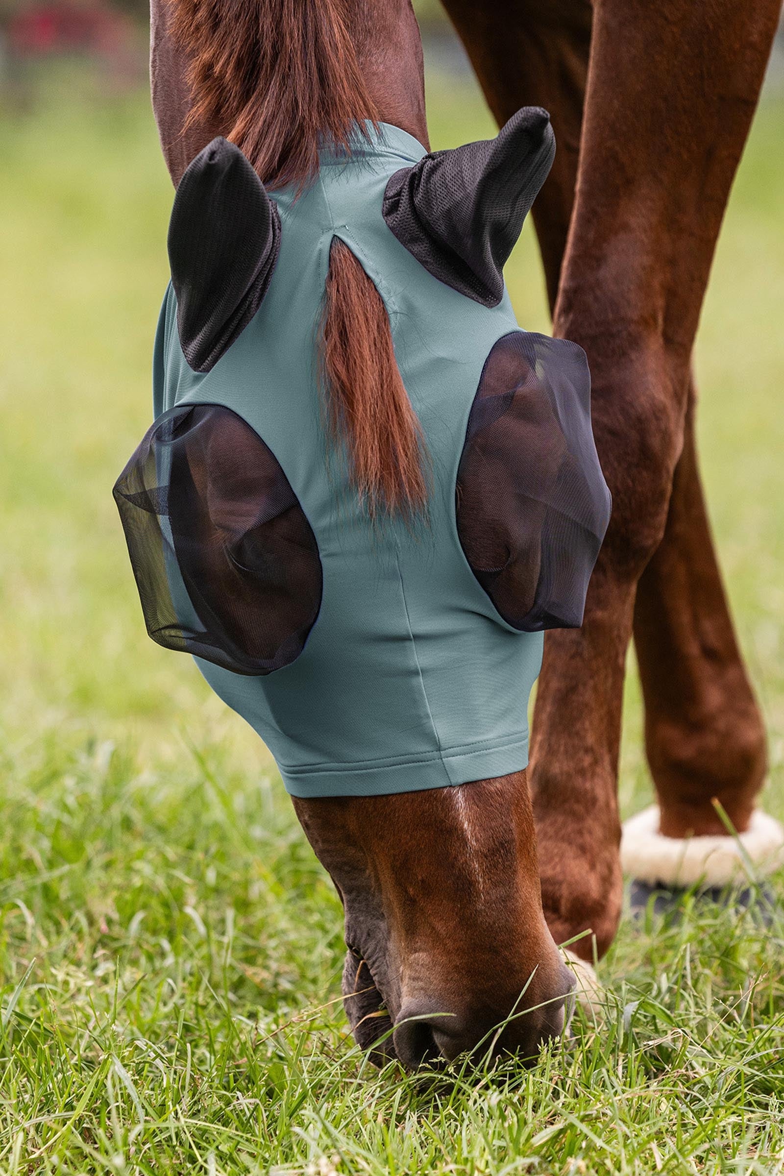 Waldhausen Puck Fly Mask With Zip and  UV-Protection Antifly Protection for Horses