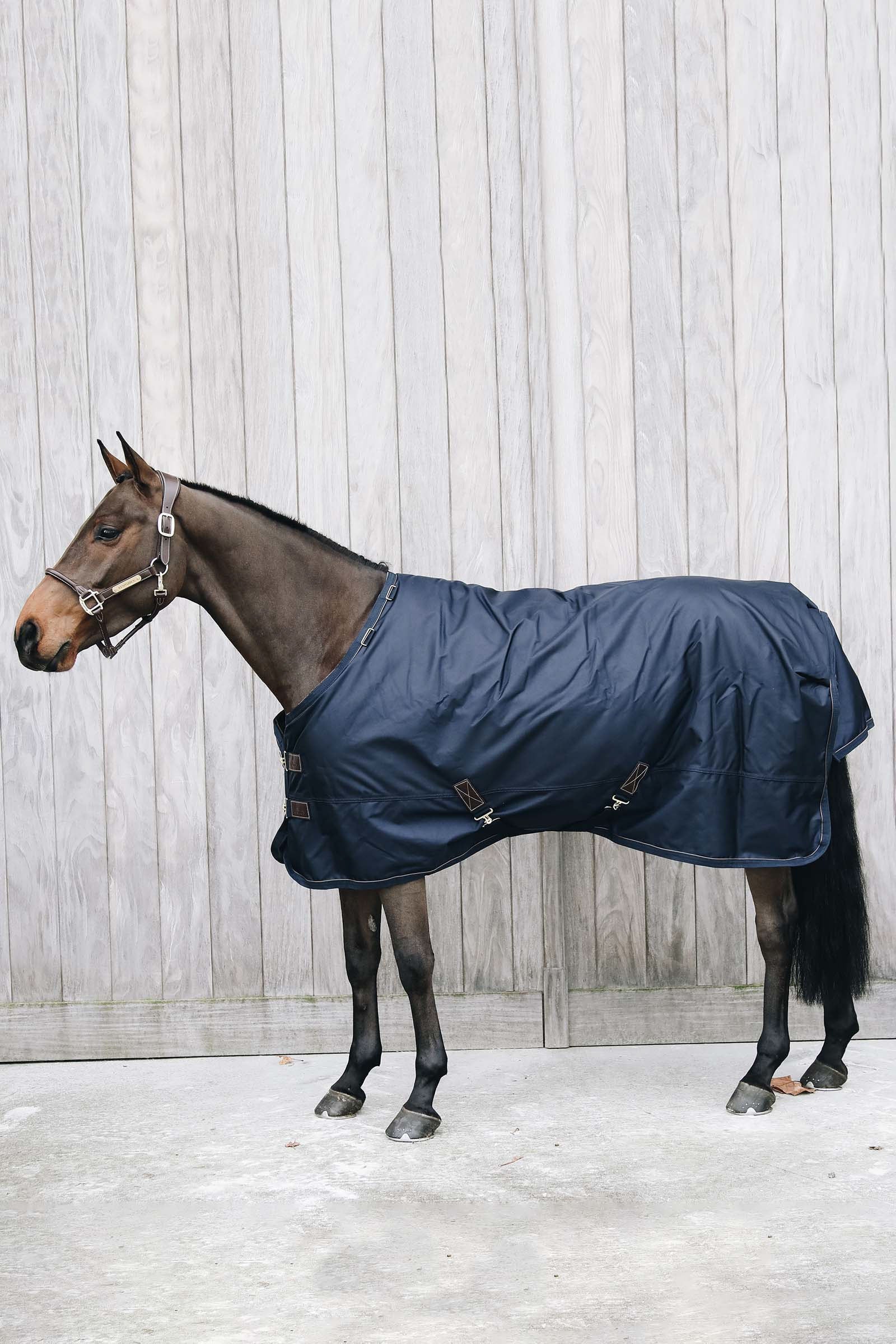 Kentucky Horsewear All Weather Waterproof Pro Turnout, 0g Horse Rugs
