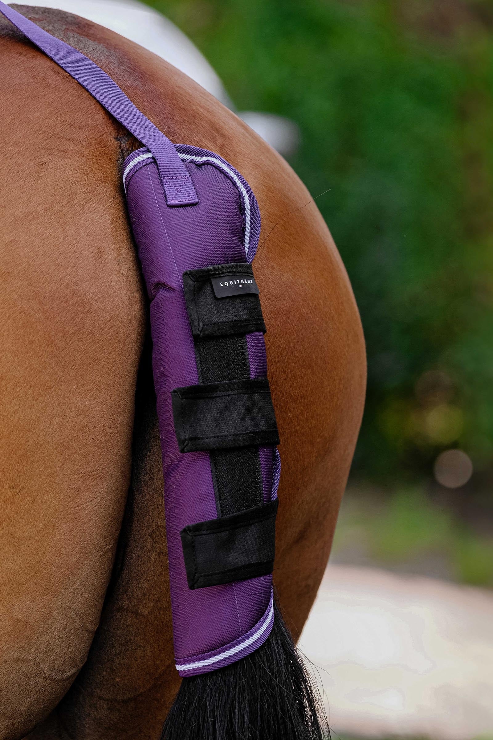 EQUITHÈME TYREX 600D svansskydd Plume Leg & Hoof Protection
