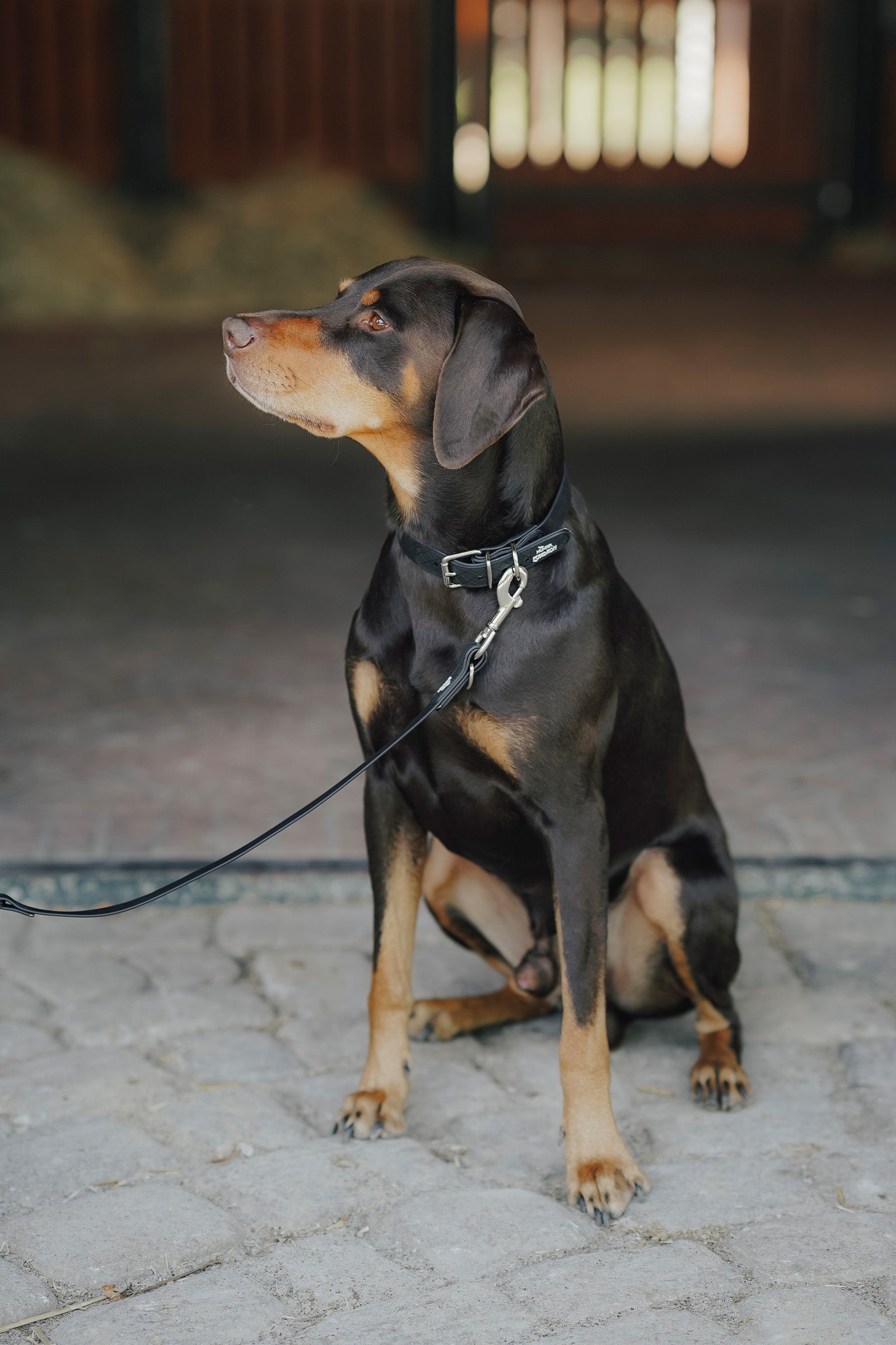 Lifestyle shot 2