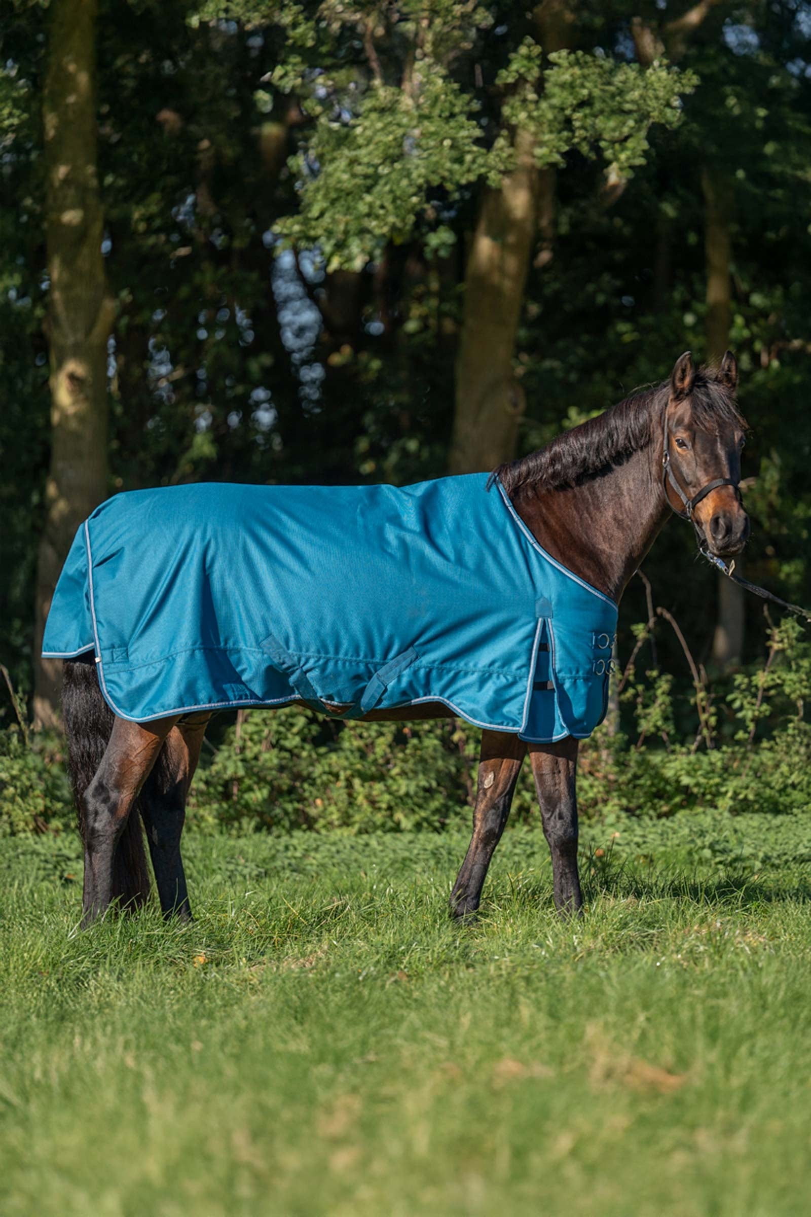 Kavalkade Alaska IV Turnout Rug, 100 g Horse Rugs