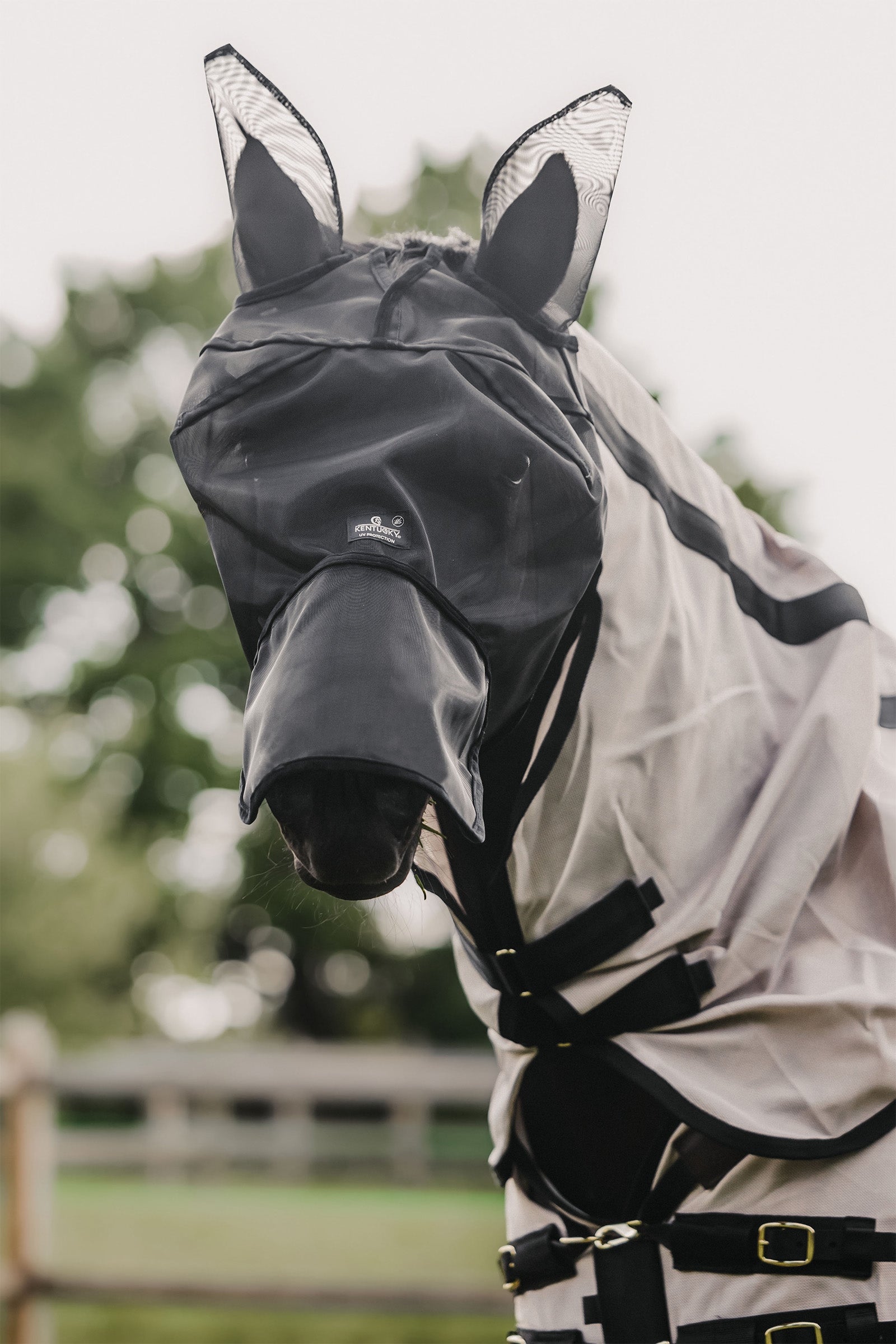 Kentucky Horsewear Classic flughuva med öron och nosskydd Flugskydd