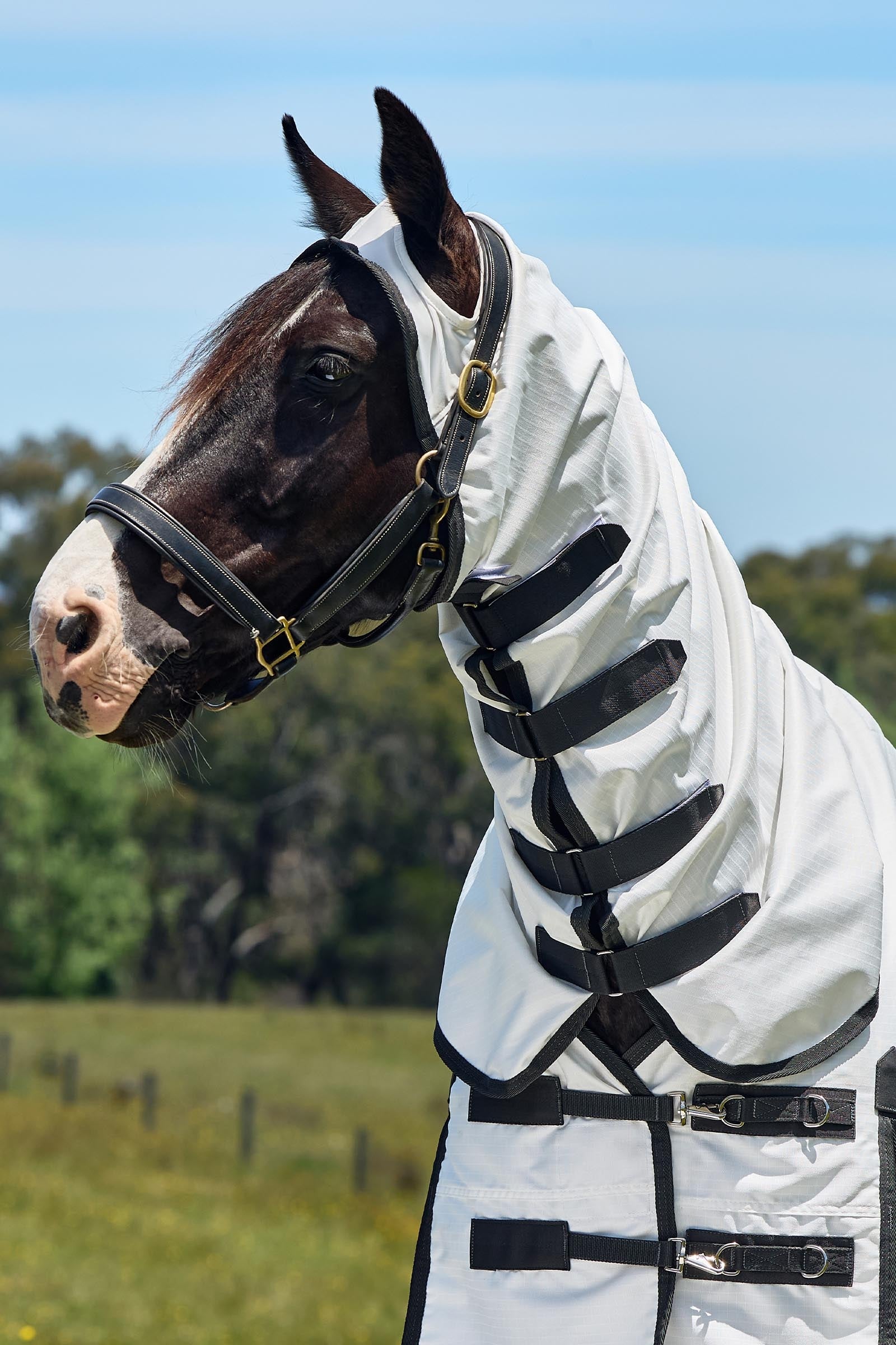 Weatherbeeta Comfitec Sweet Itch Shield Fly Sheet Combo W. Fixed Neck, 0g Horse Rugs
